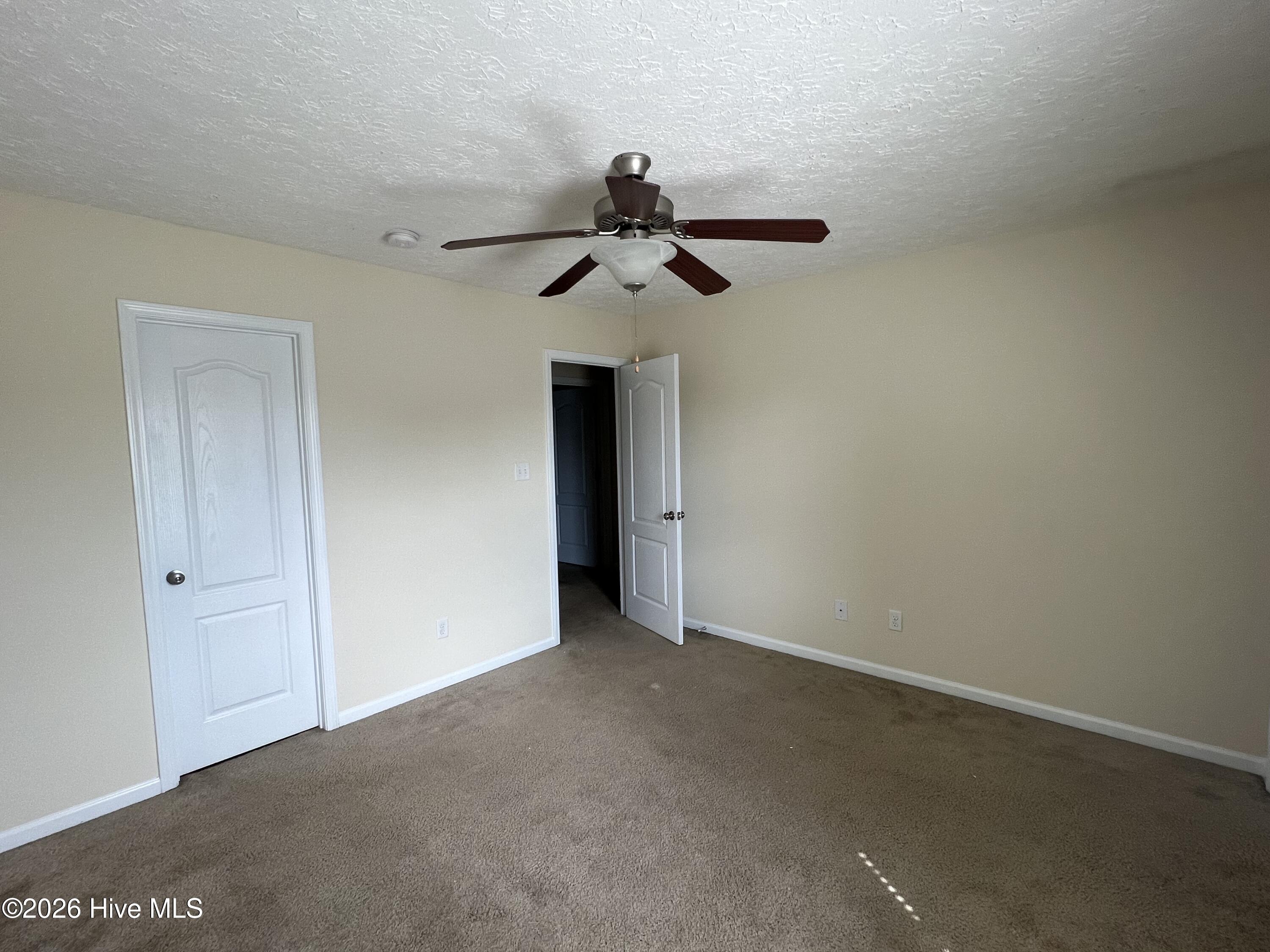 100555669 | Photo 15