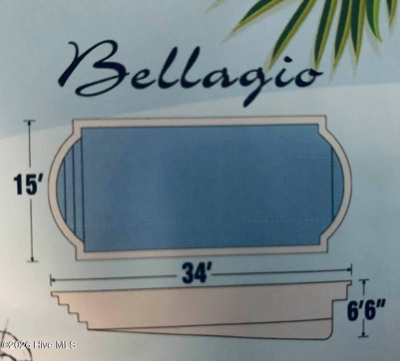 100554419 | Photo 52