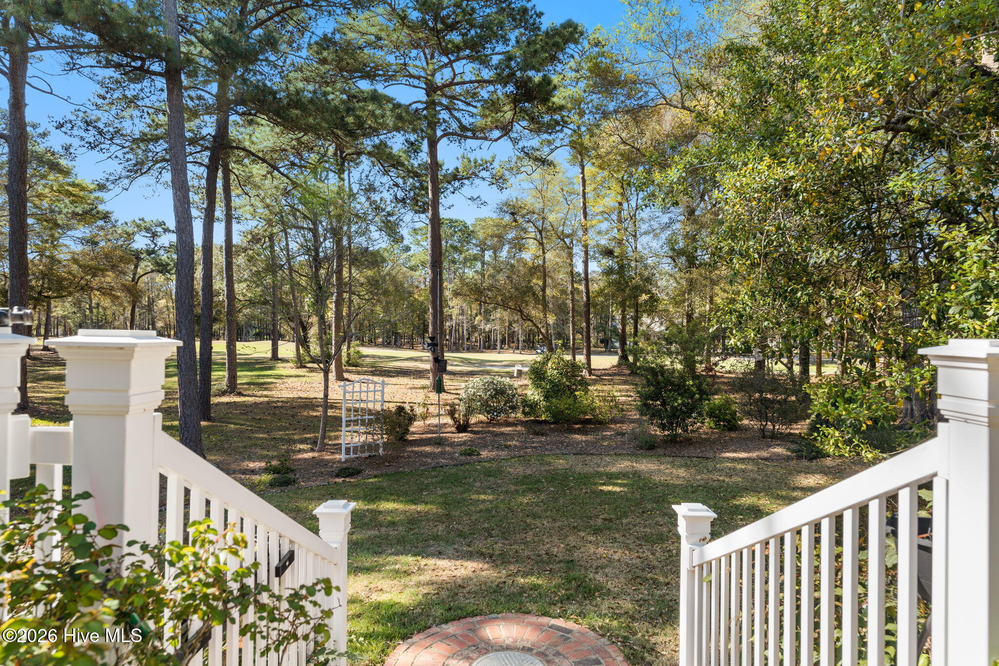 100564903 | Photo 52