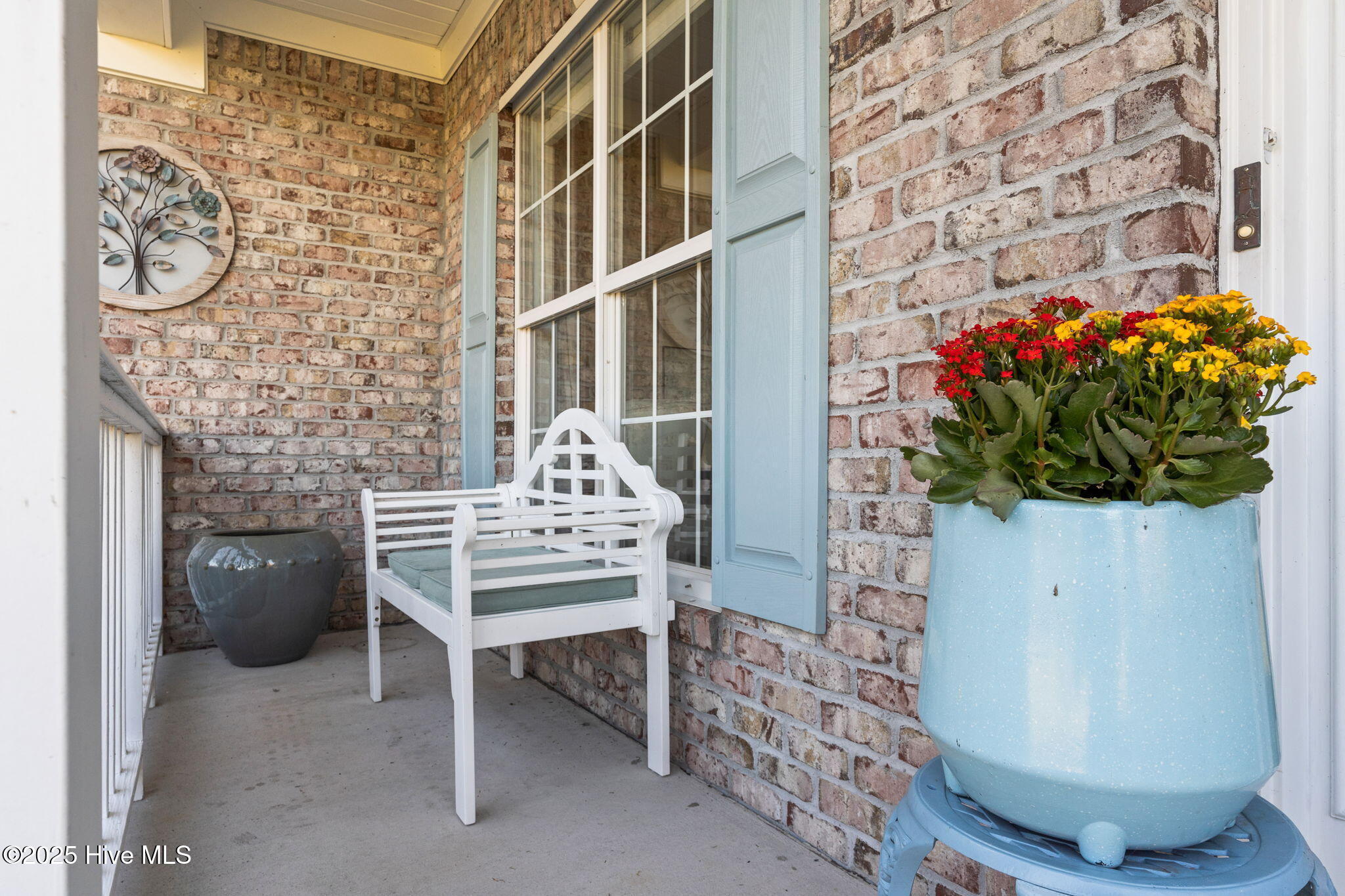 100538091 | Photo 10