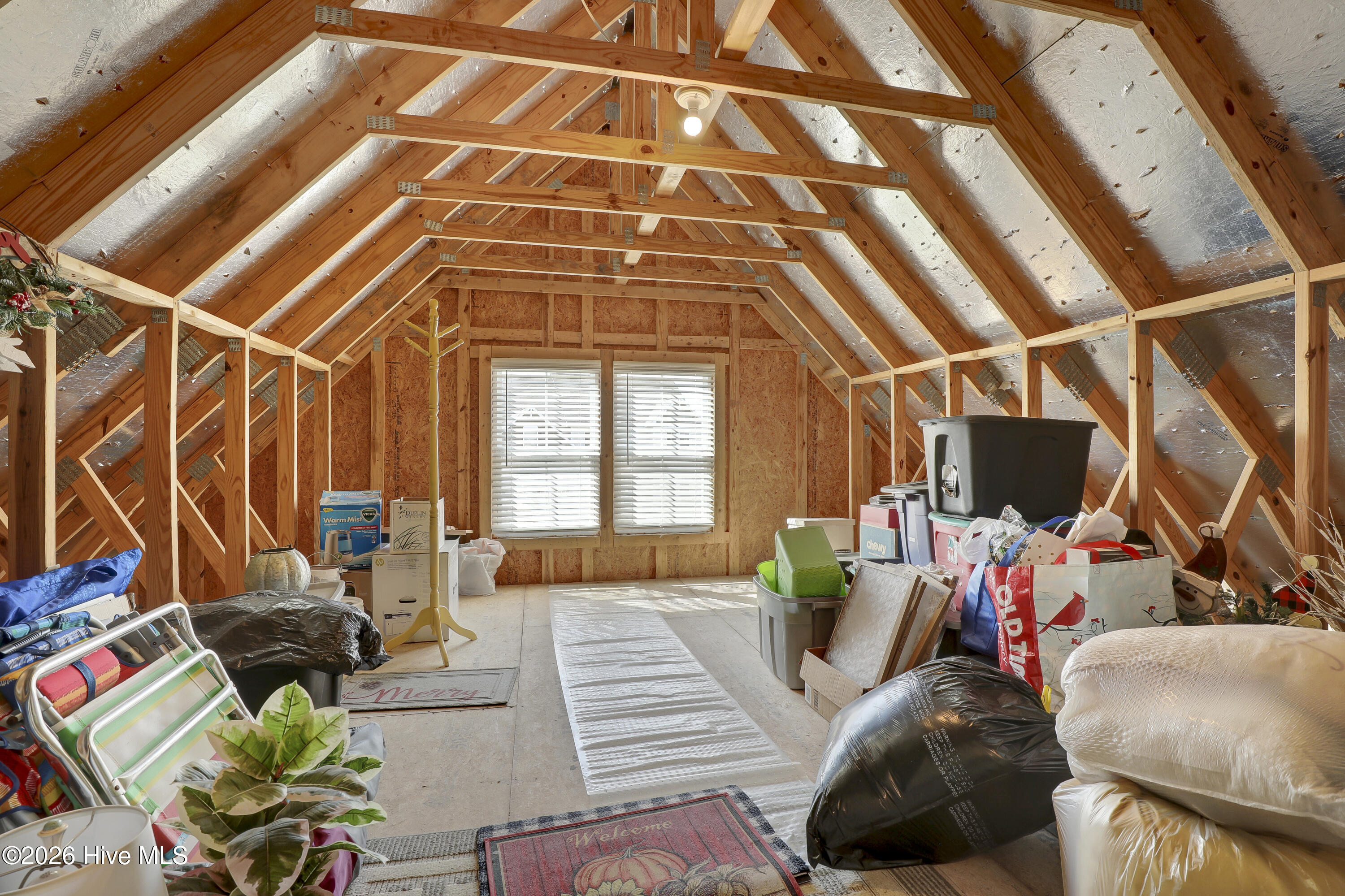 100567607 | Photo 30