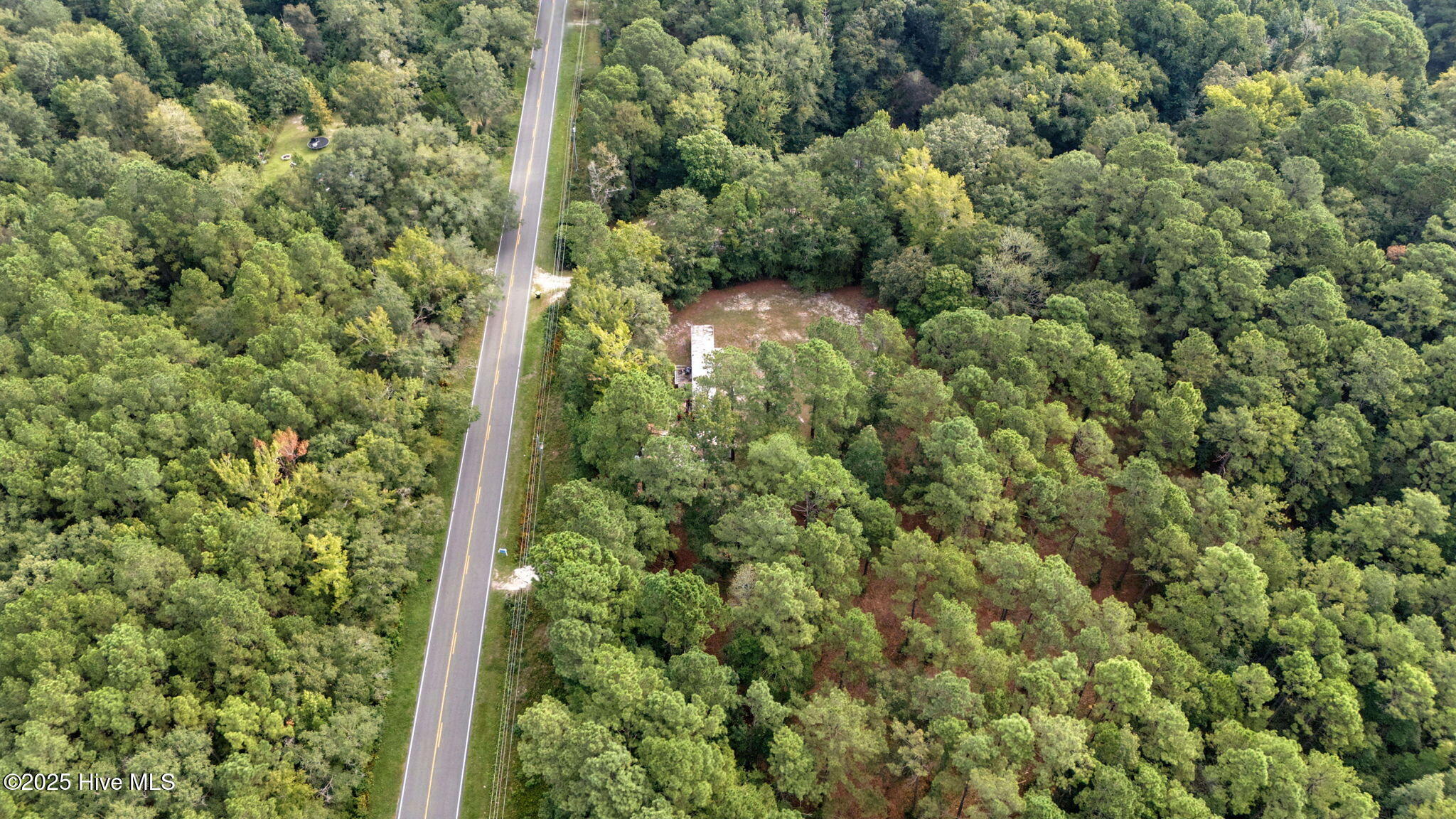 100526805 | Photo 10