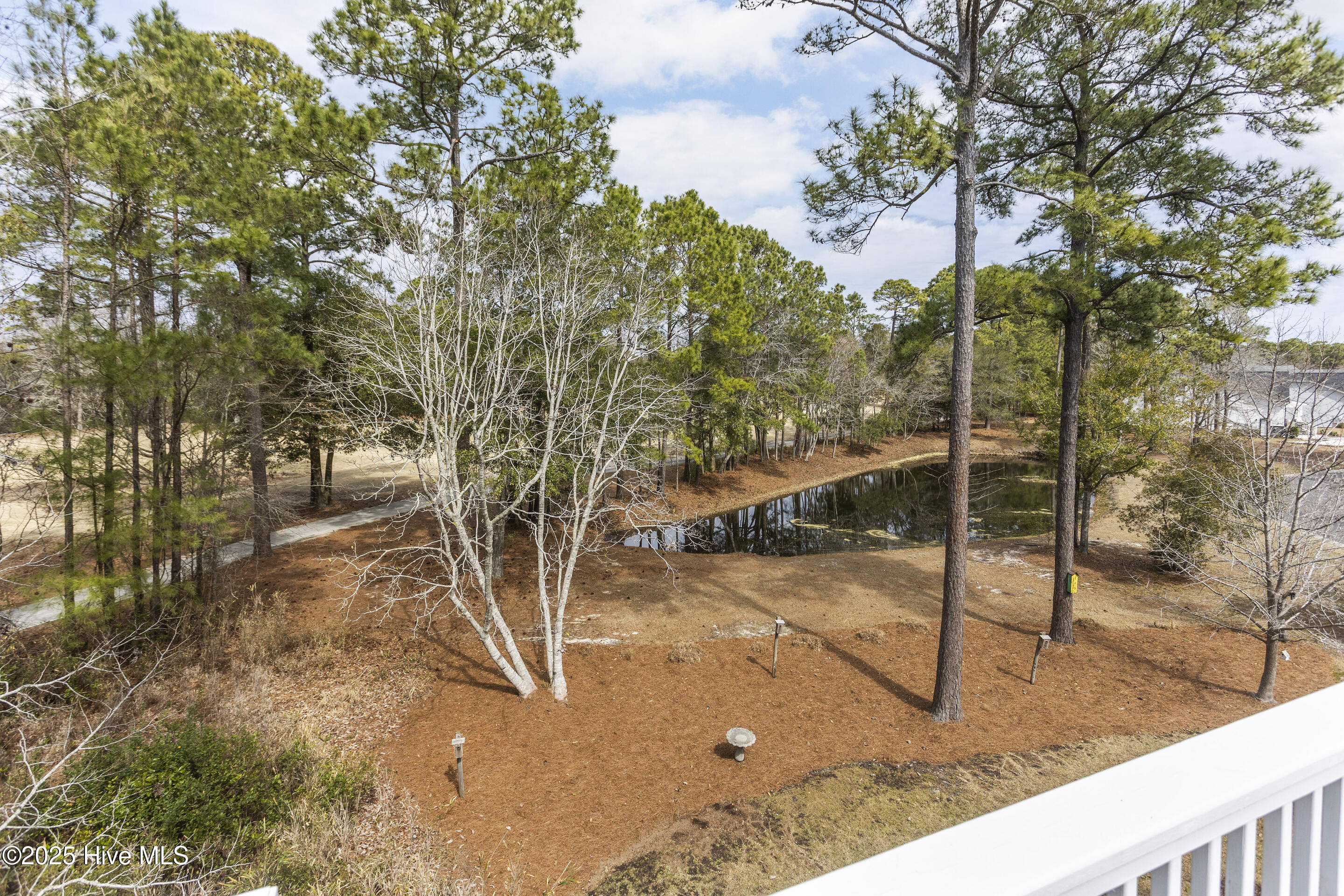 100493610 | Photo 71