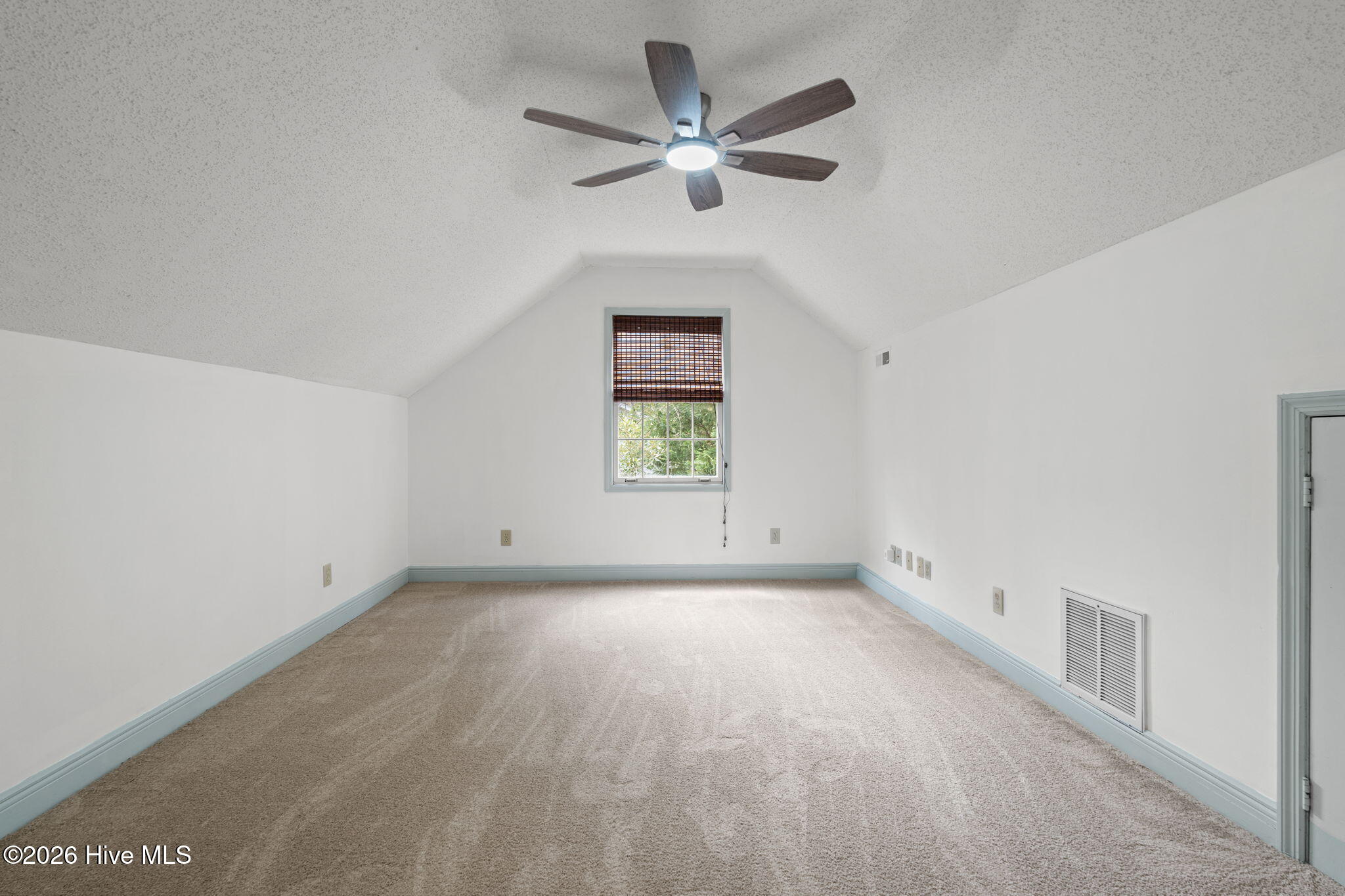 100564721 | Photo 51