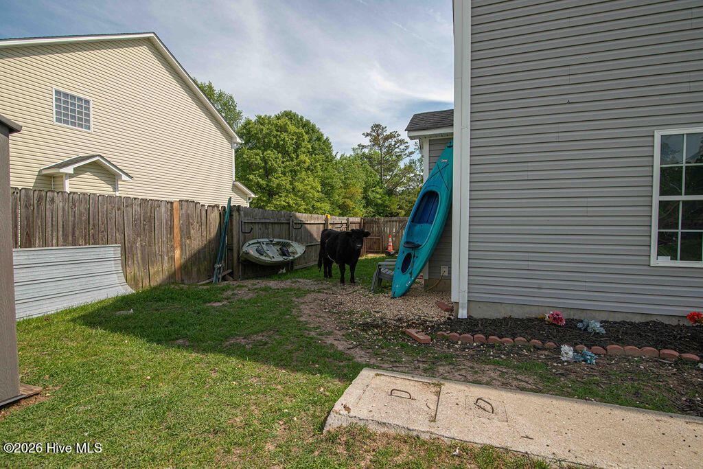 100567733 | Photo 40