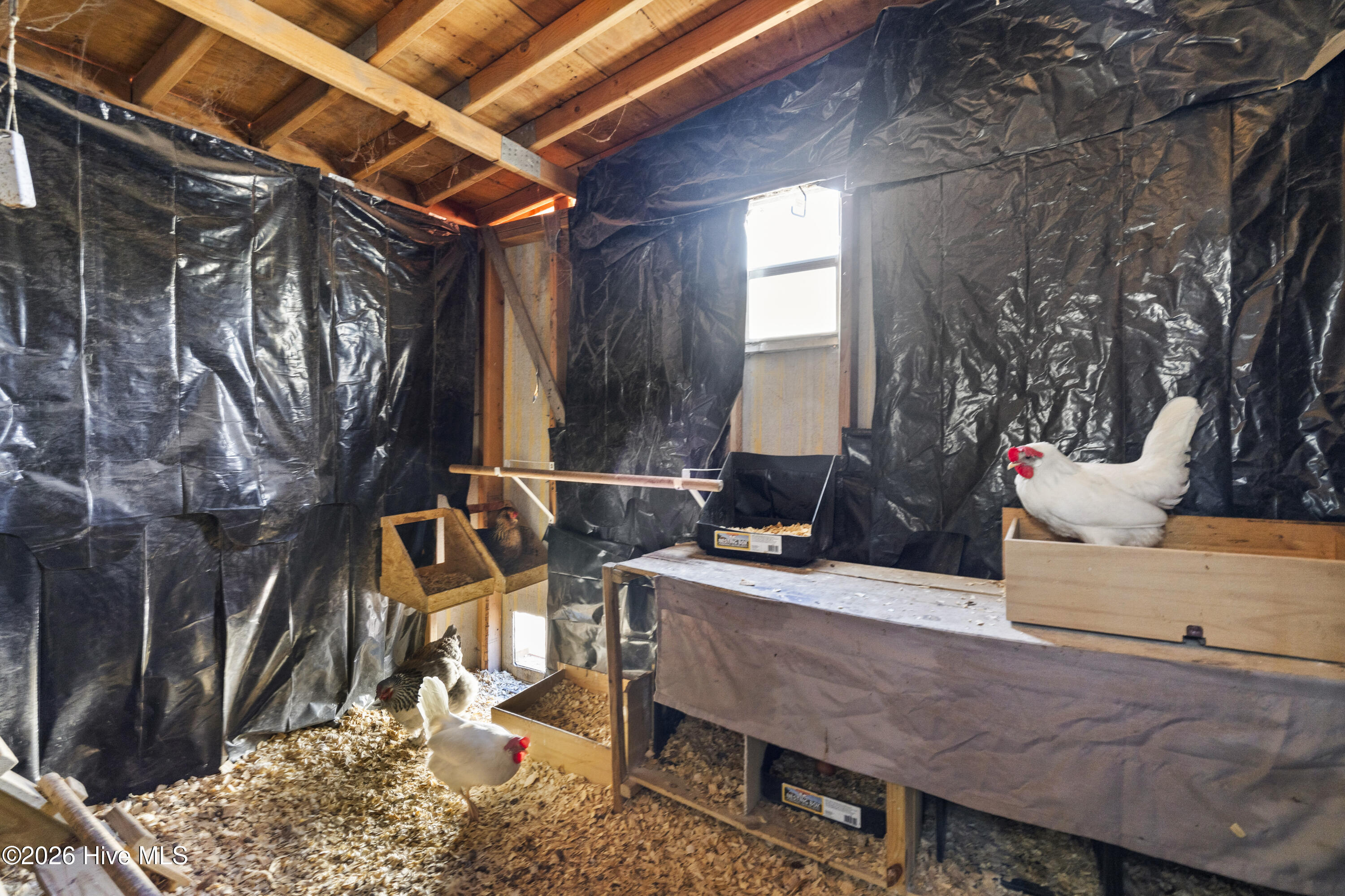 100553037 | Photo 32