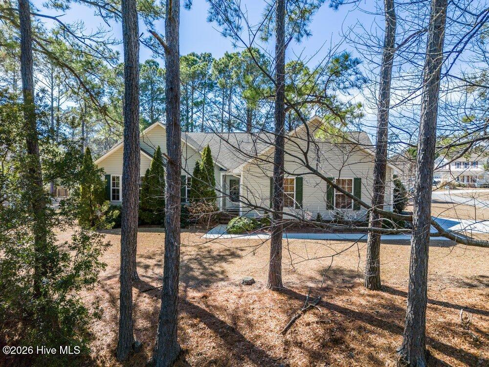 100555437 | Photo 26