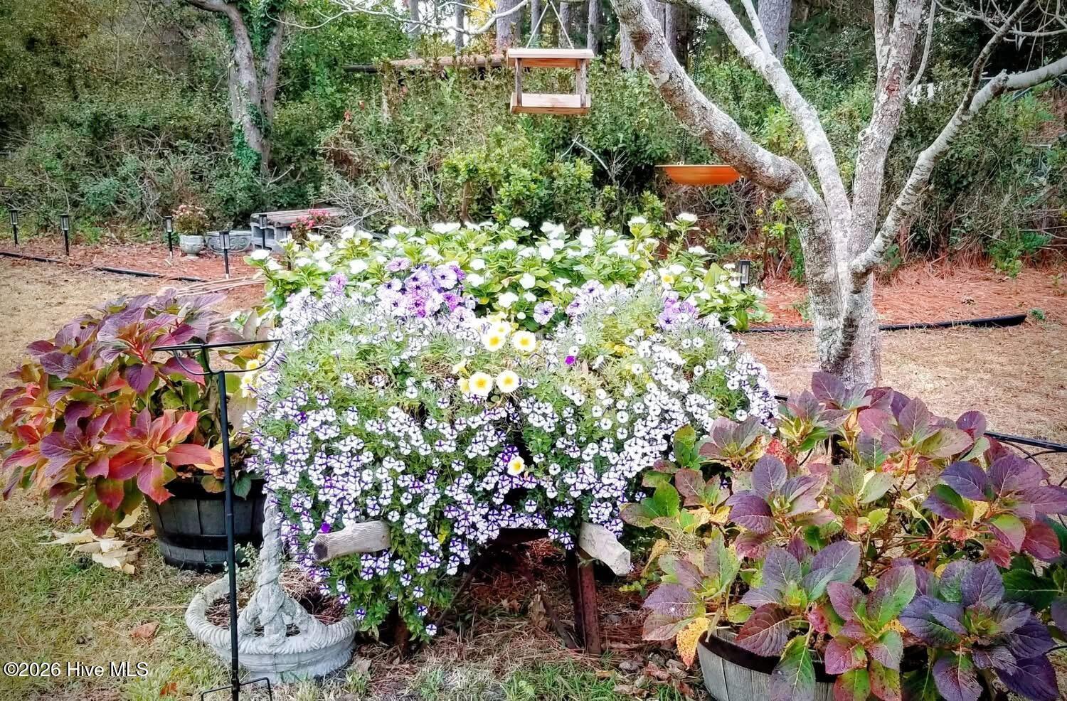 100564299 | Photo 15