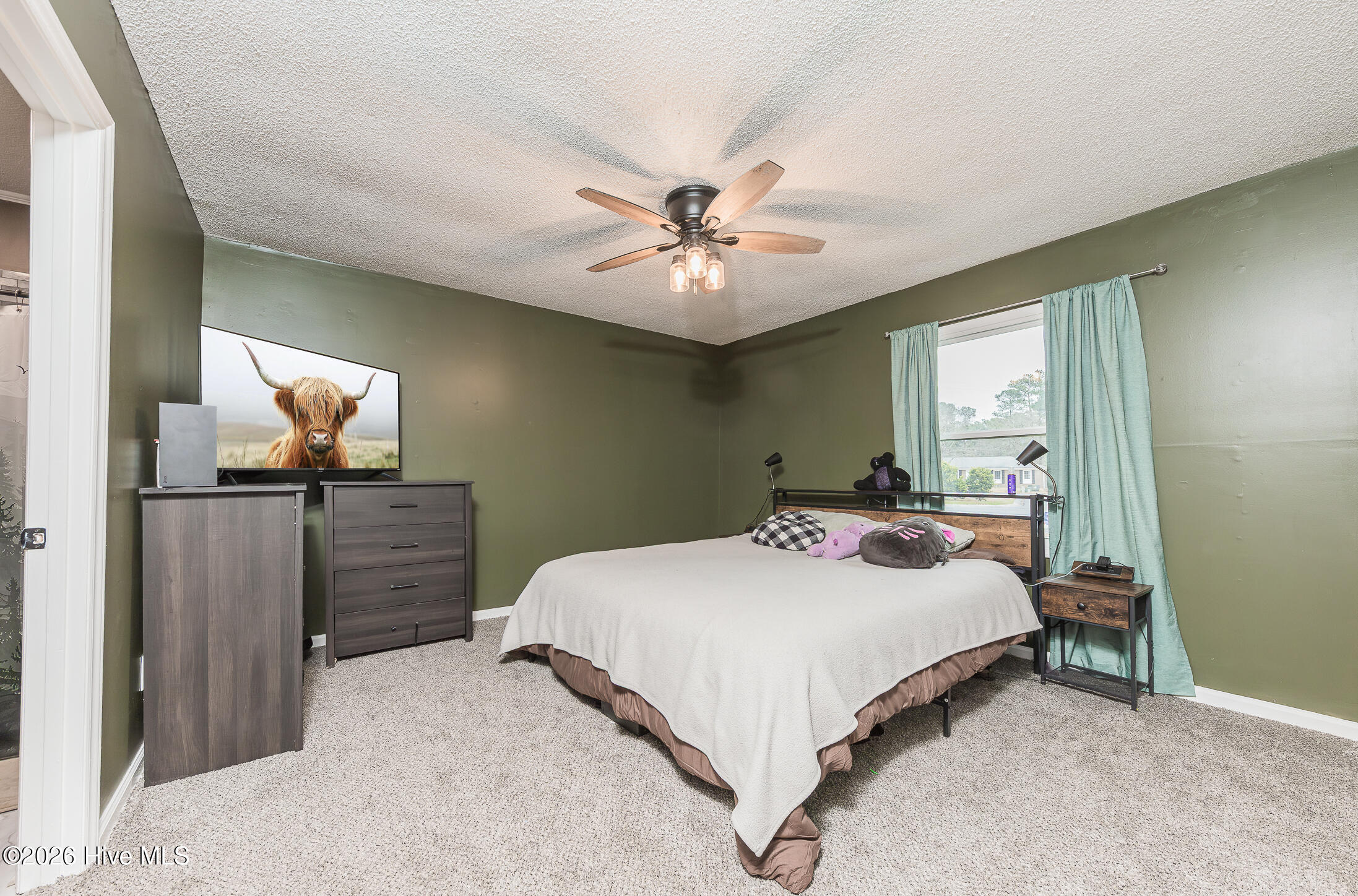 100558087 | Photo 24