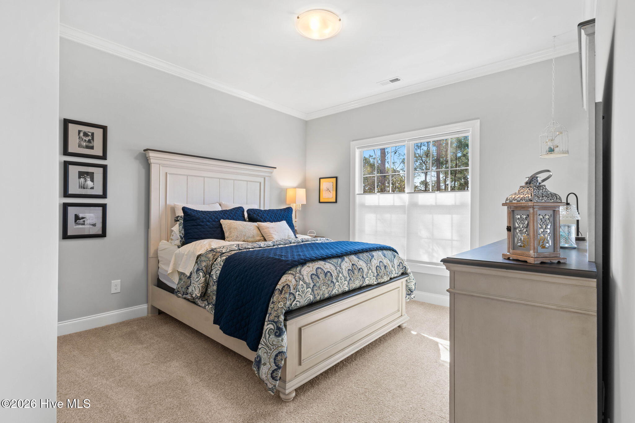 100560981 | Photo 35