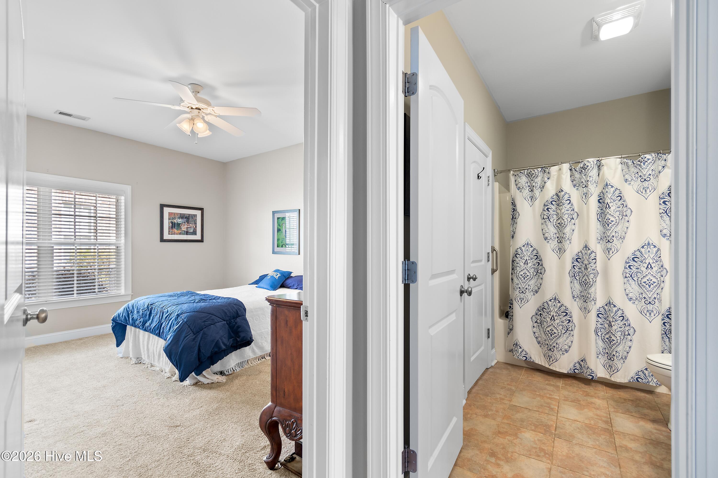 100555309 | Photo 29