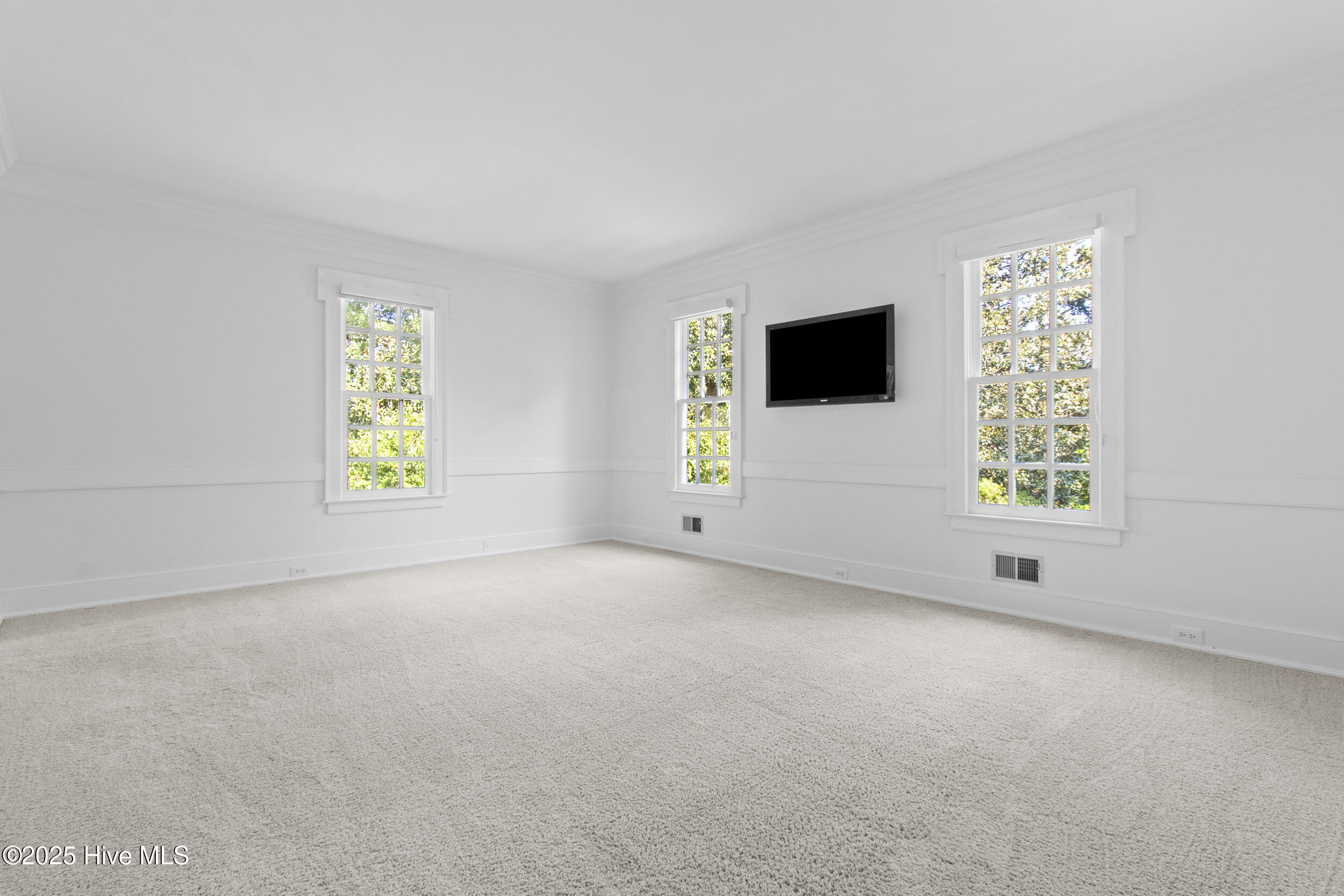 100537664 | Photo 33