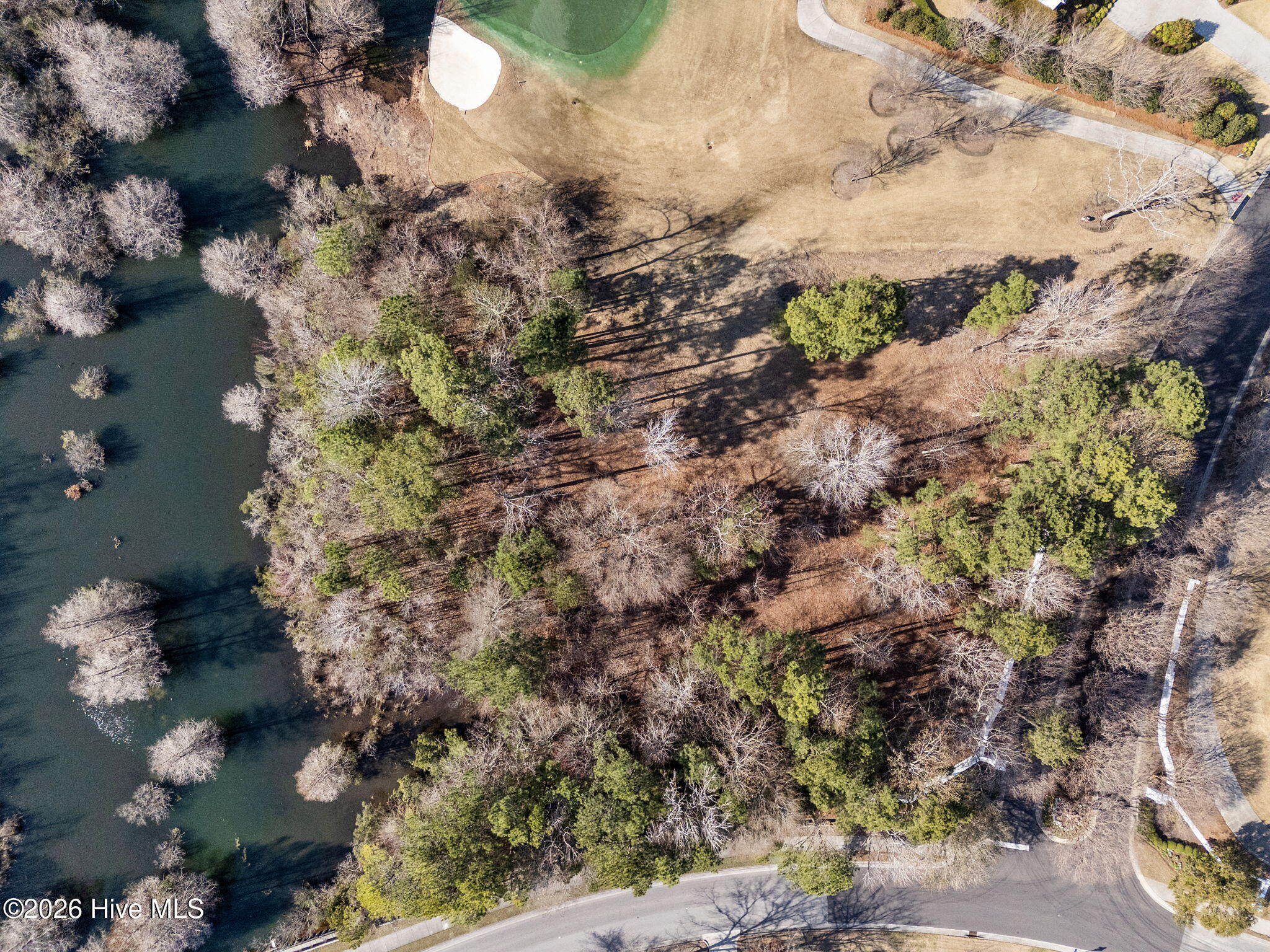 100559431 | Photo 11