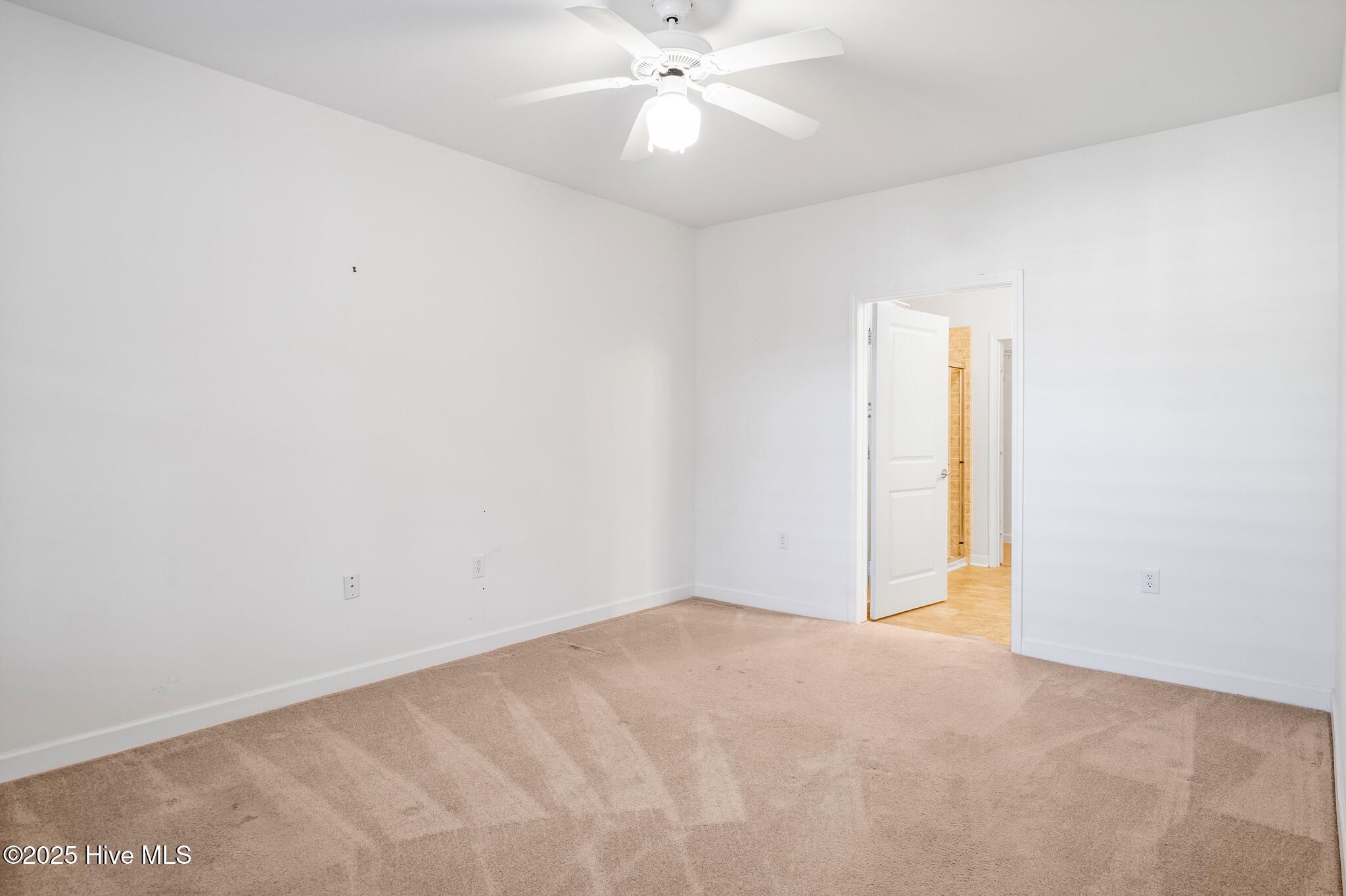 100546271 | Photo 11