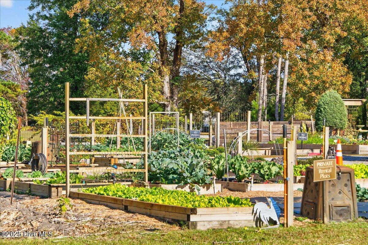 100540380 | Photo 57