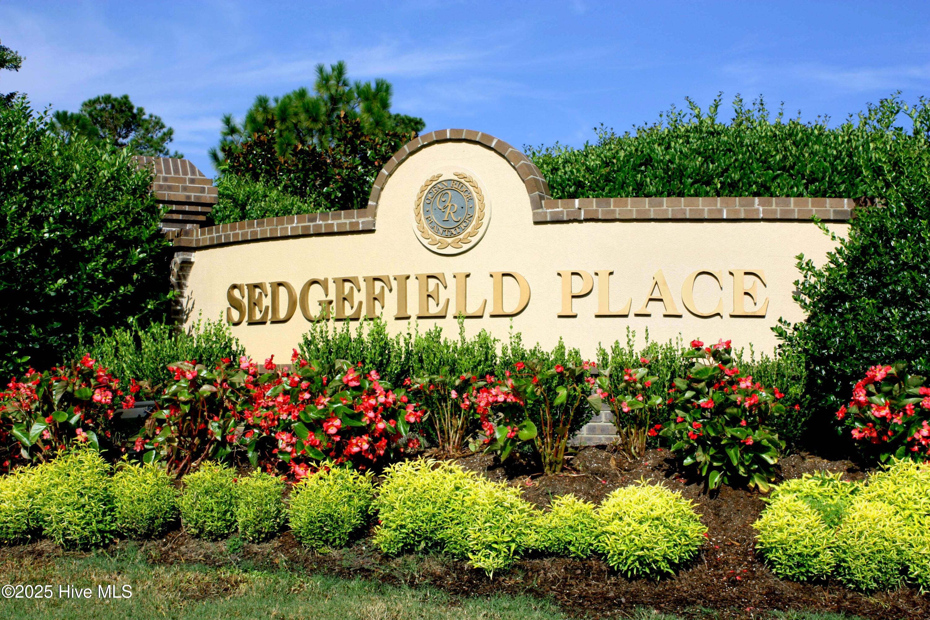 100514017 | Photo 10