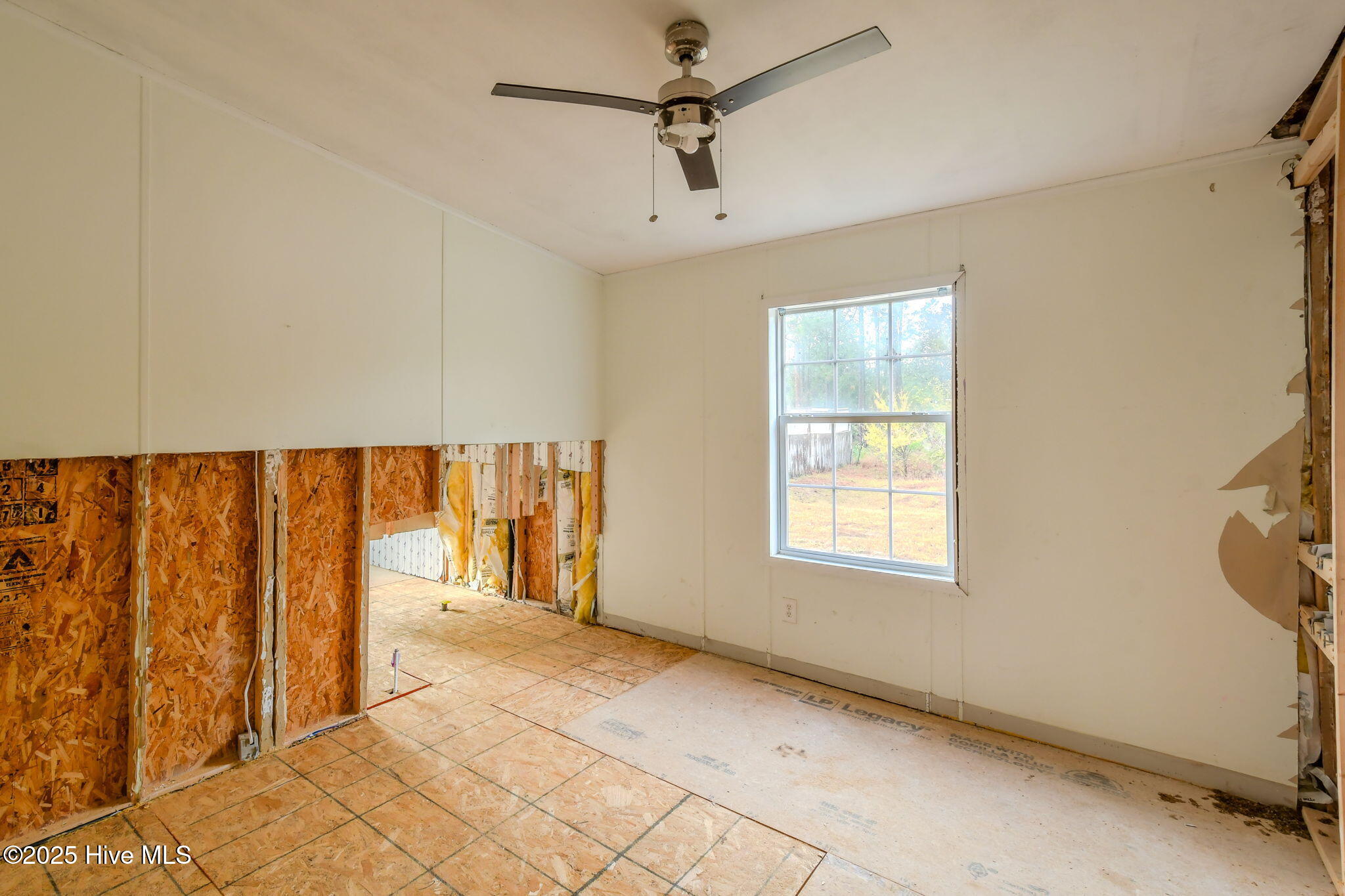 100545513 | Photo 19