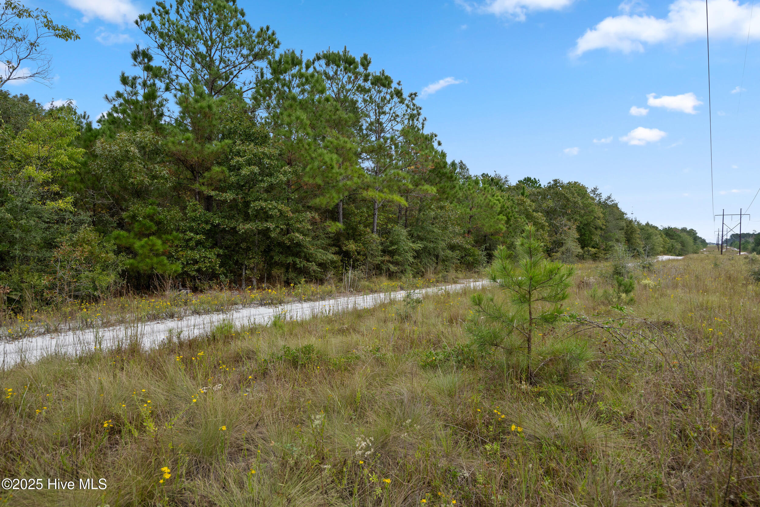 100536371 | Photo 34