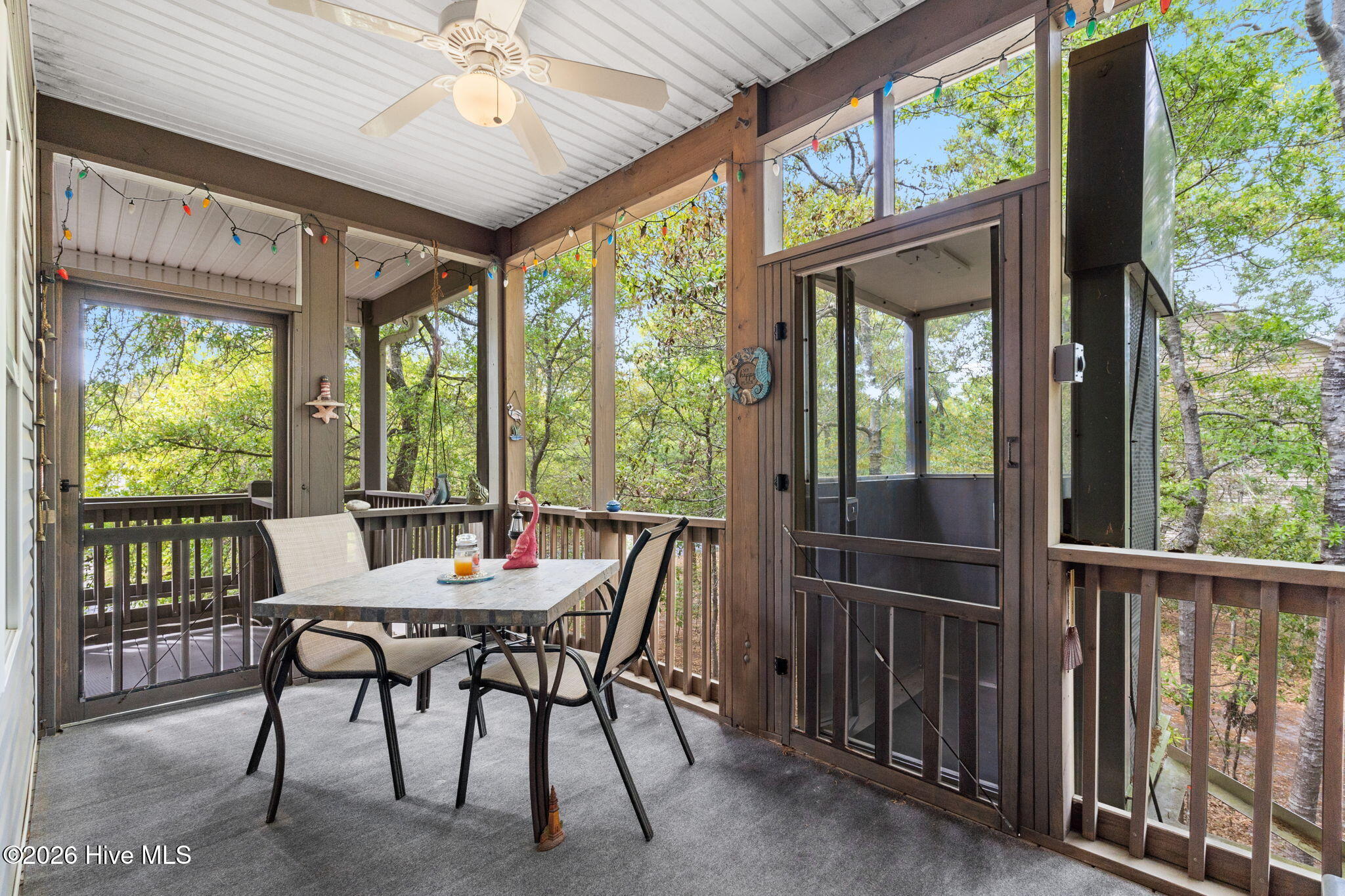 100566987 | Photo 13