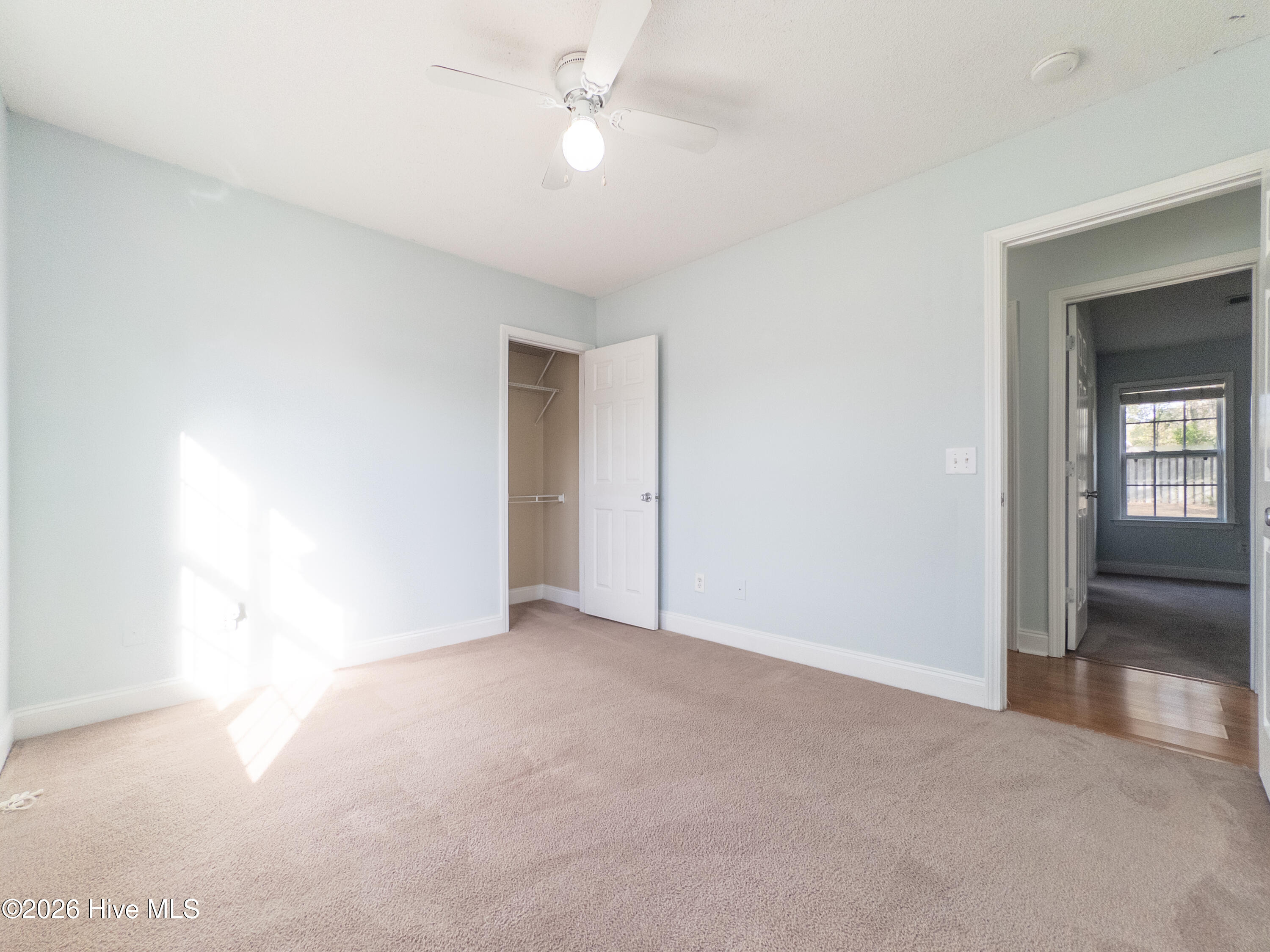 100558413 | Photo 21