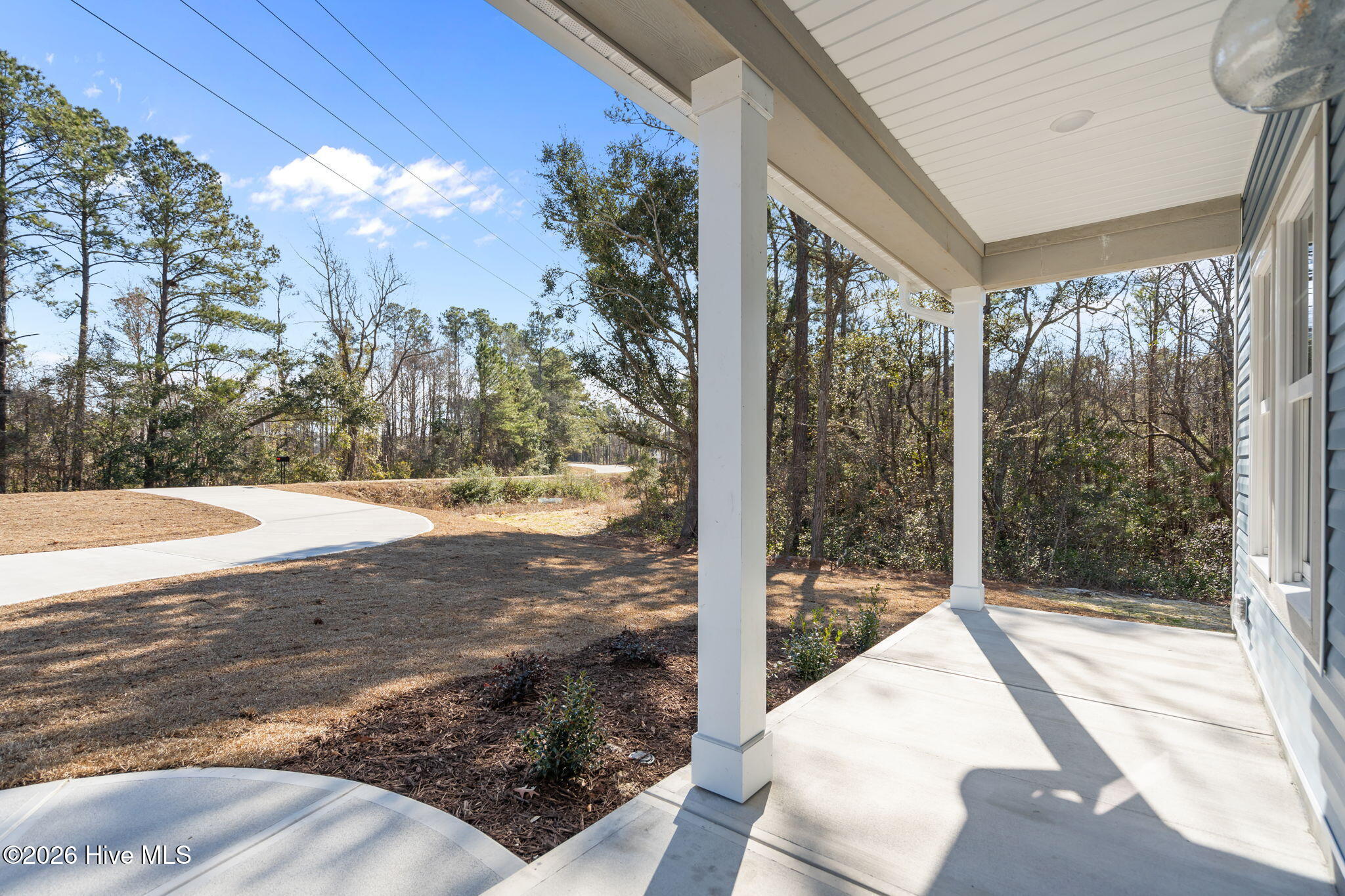 100528702 | Photo 10