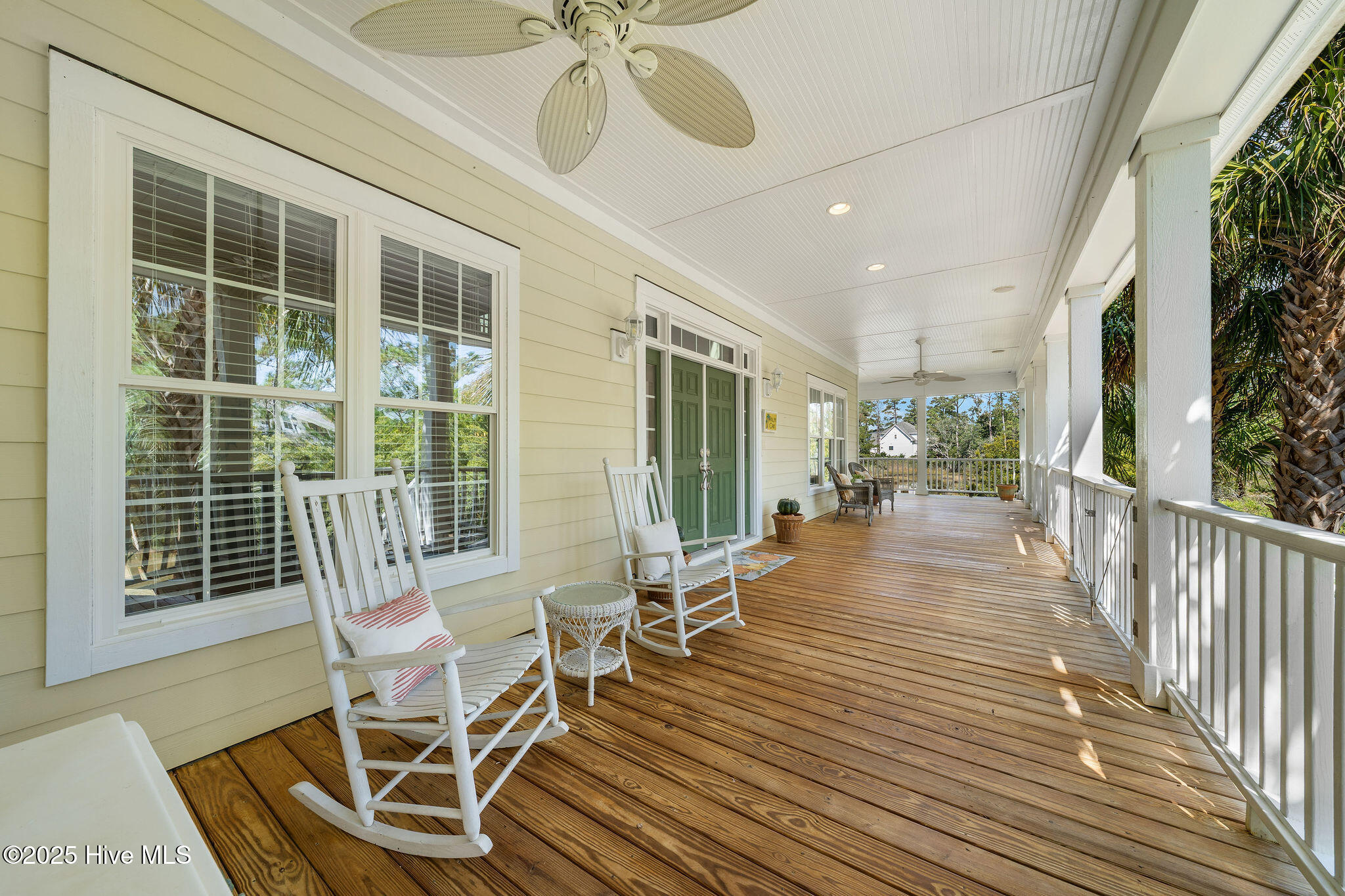 100532416 | Photo 101