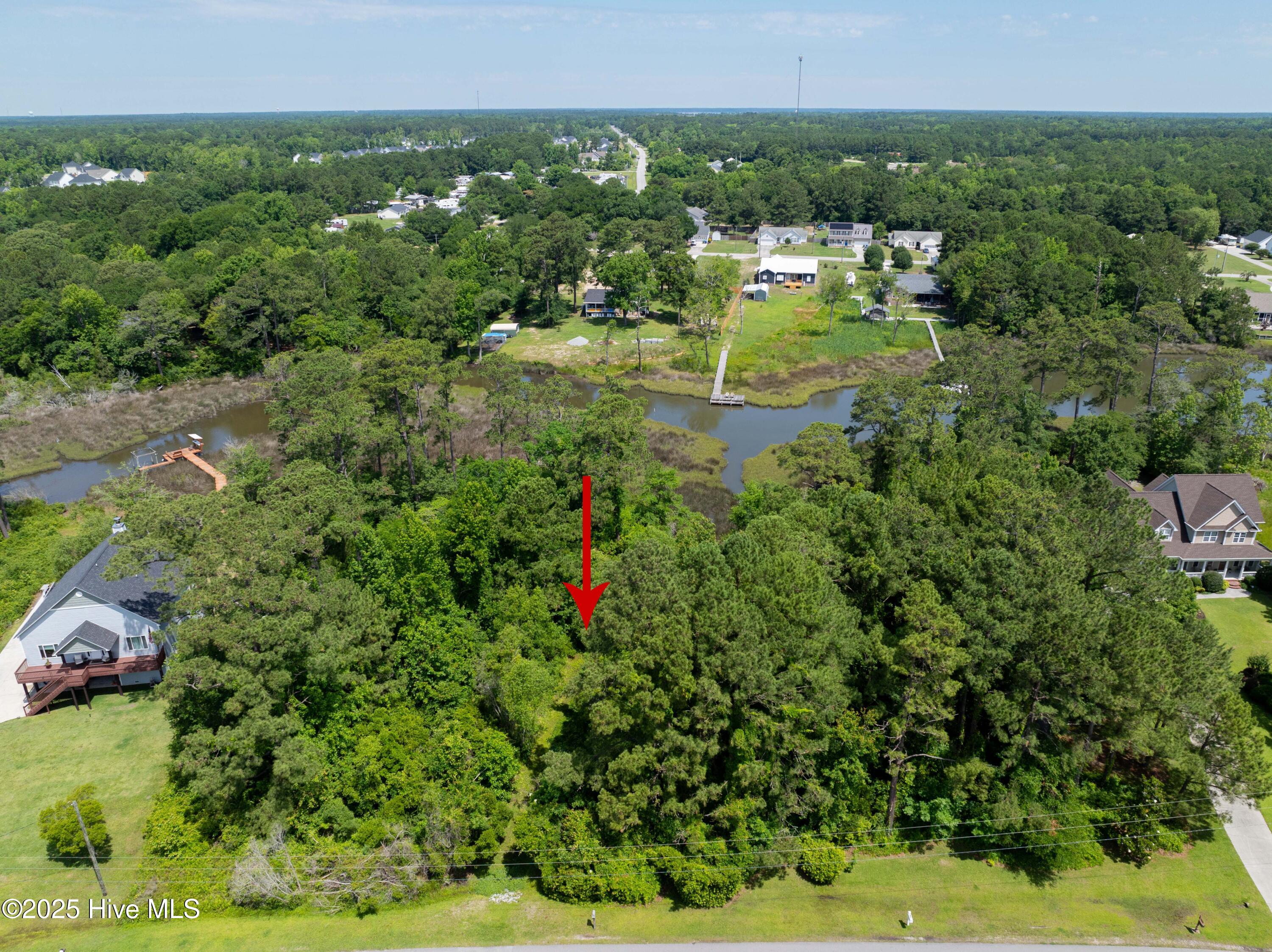 100559279 | Photo 17