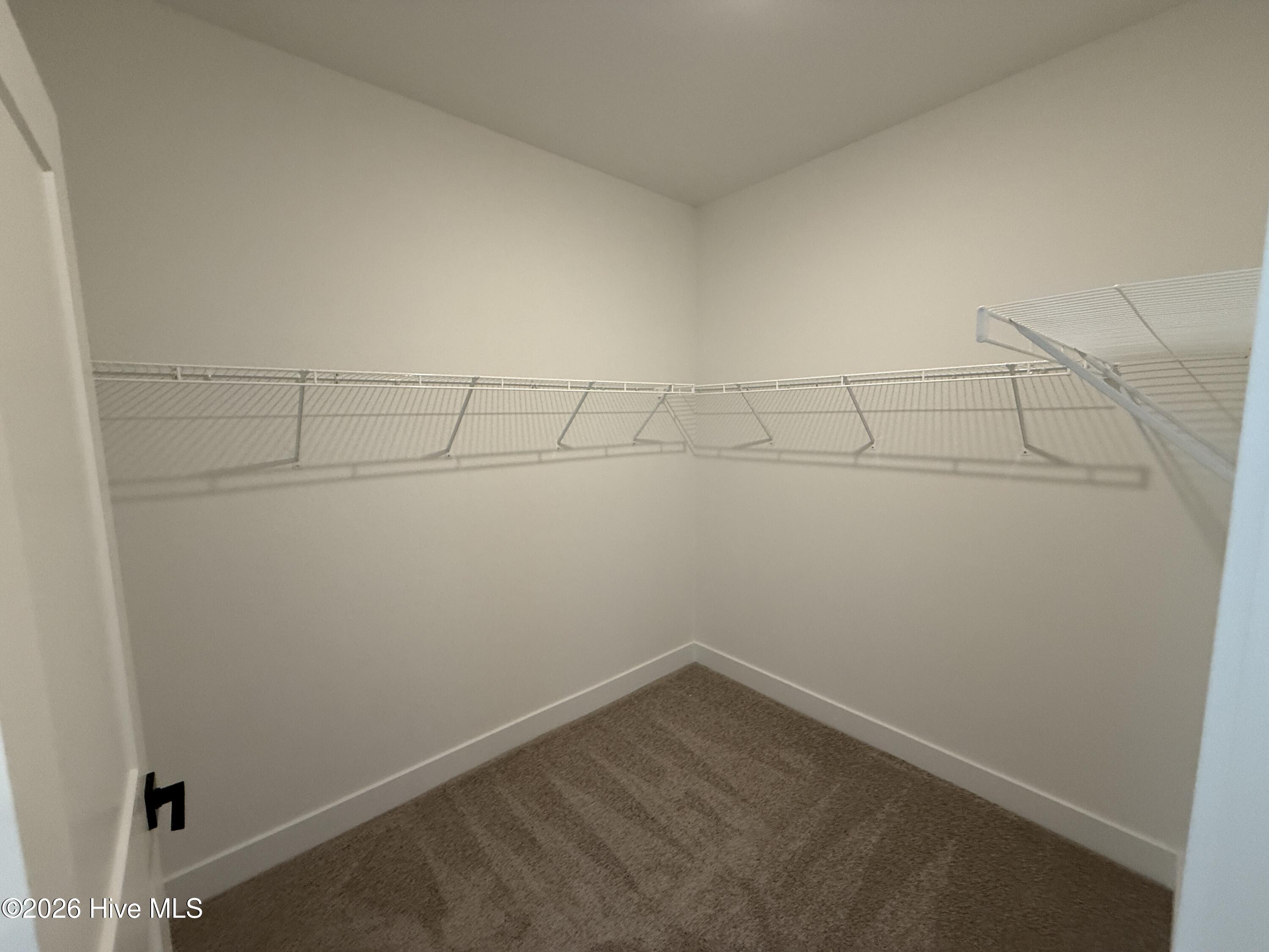 100551152 | Photo 43