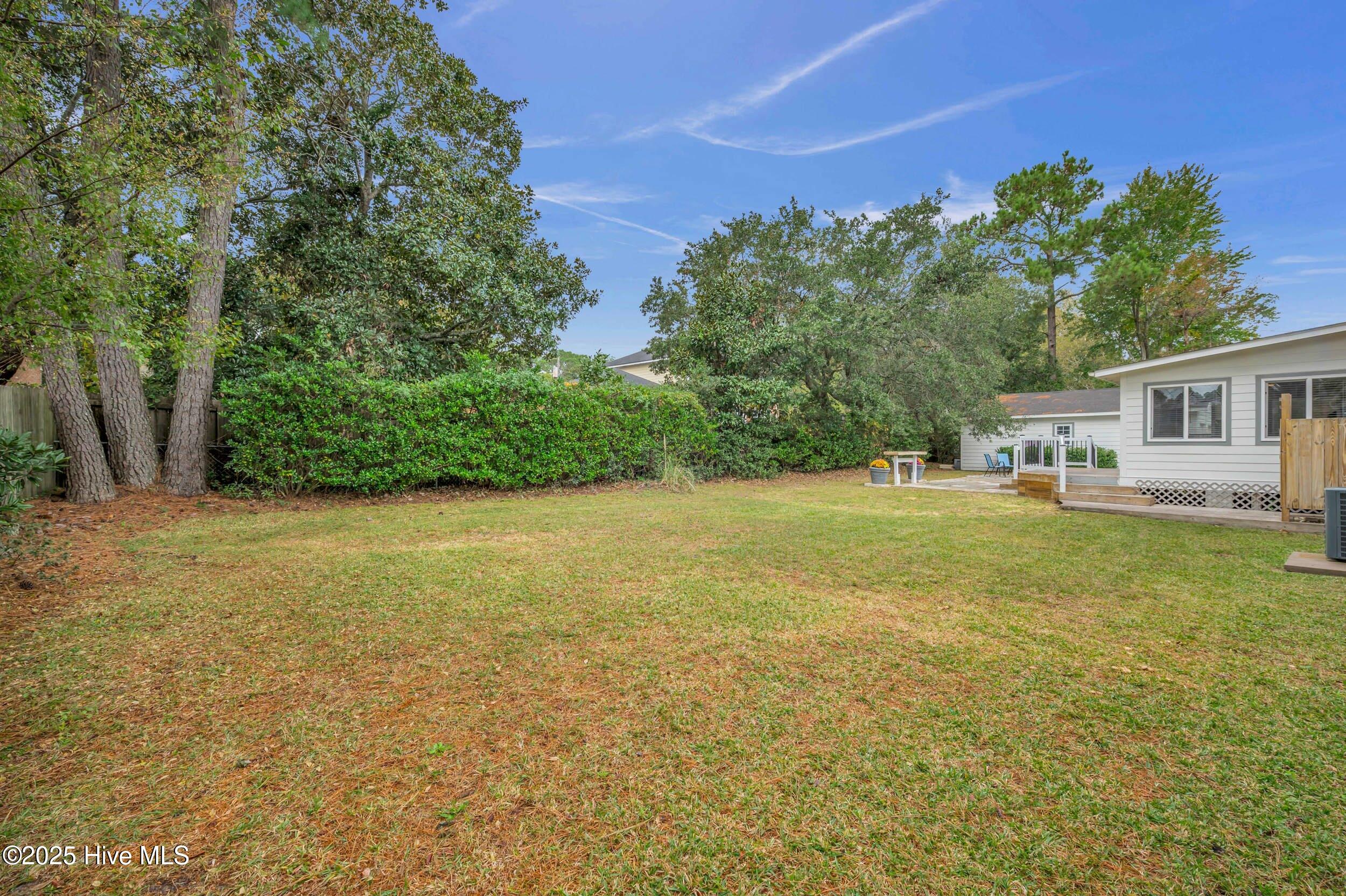 100538722 | Photo 42