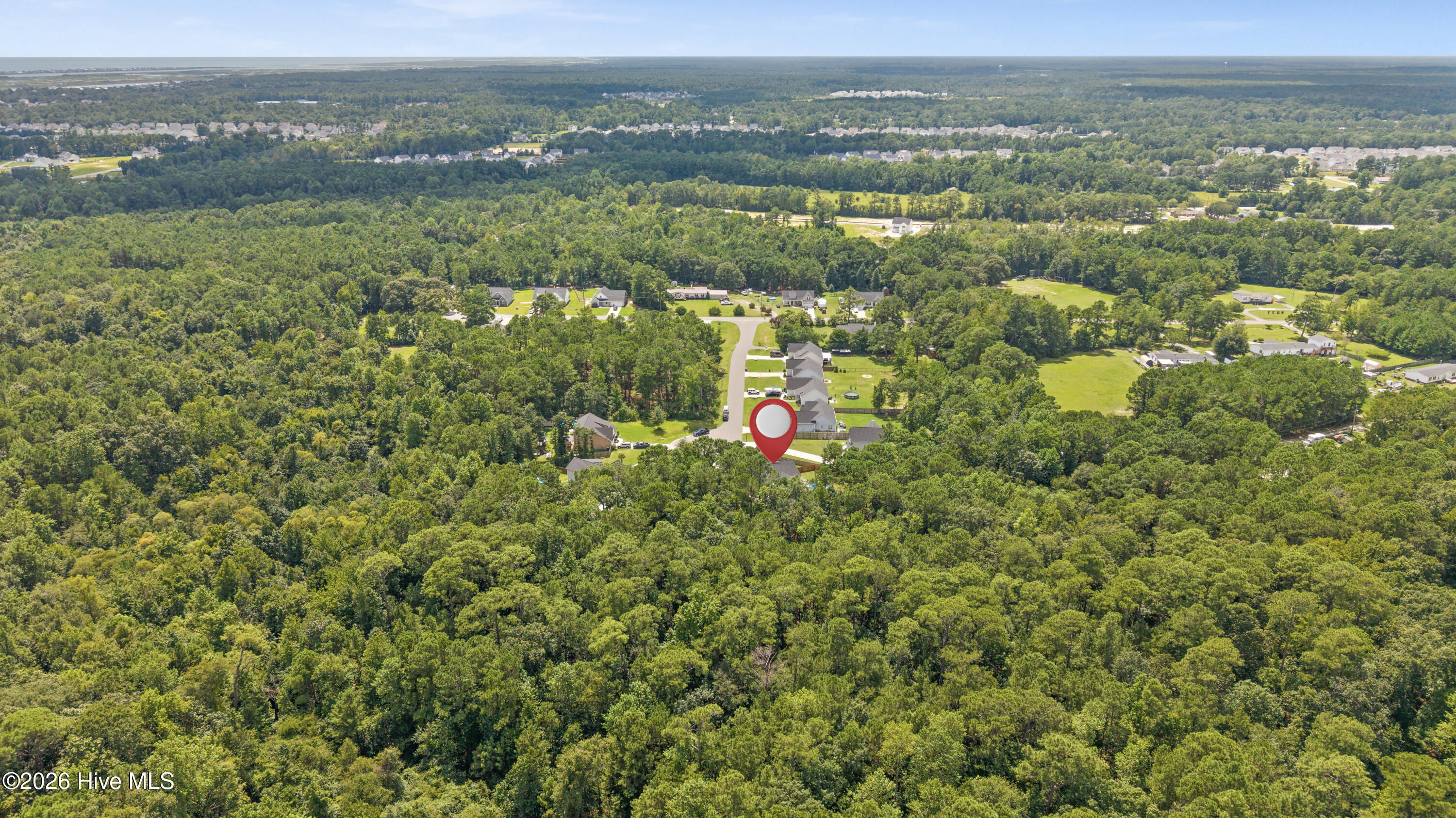 100555595 | Photo 45