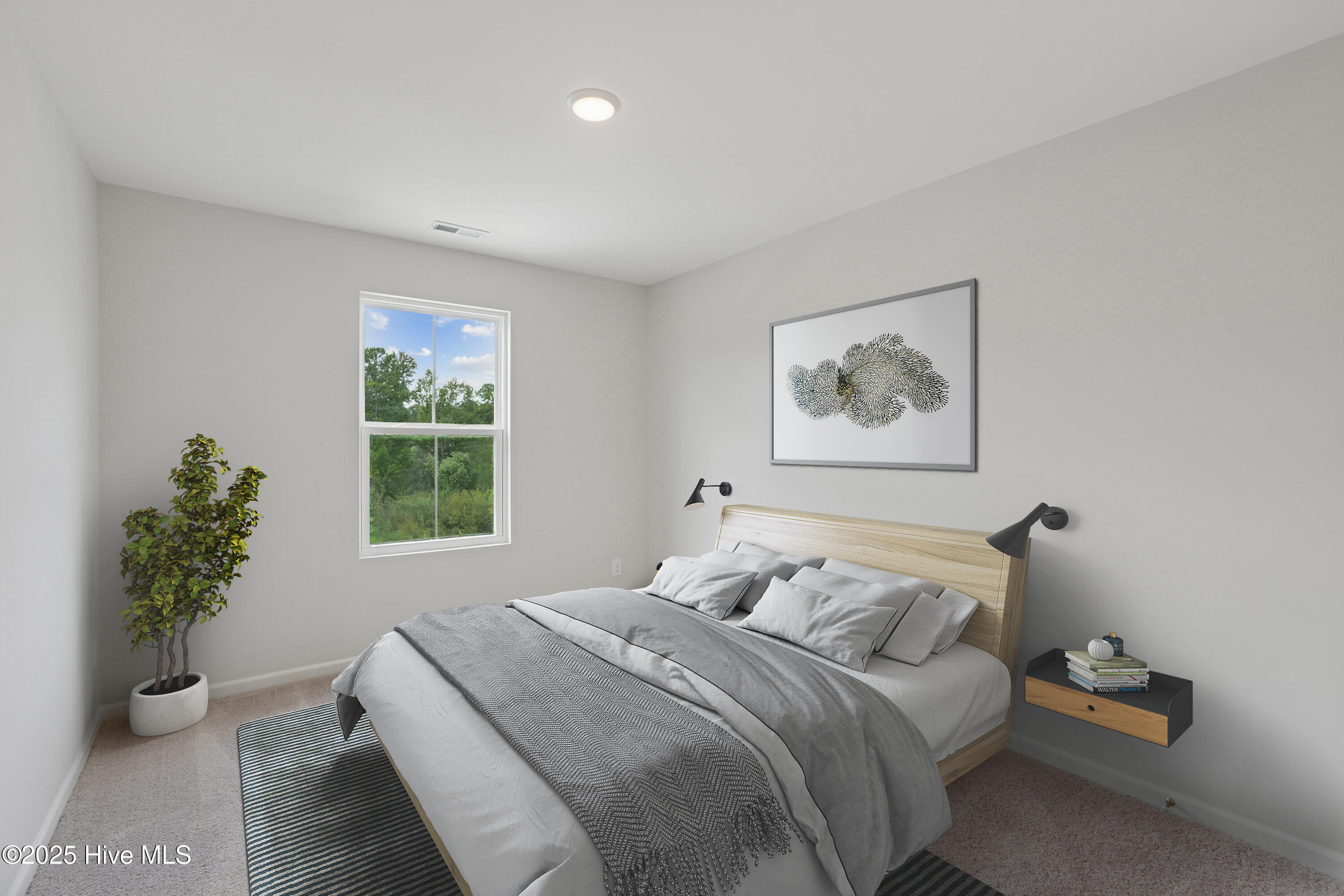 100528546 | Photo 11