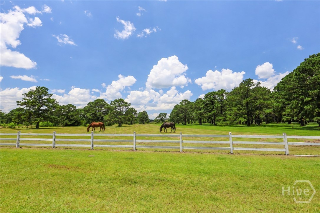 Horses virtually added