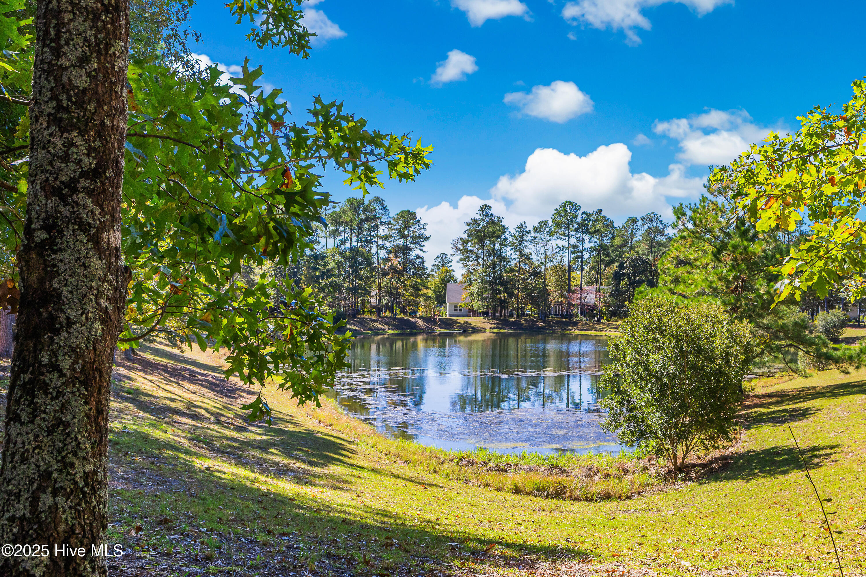 100542174 | Photo 45