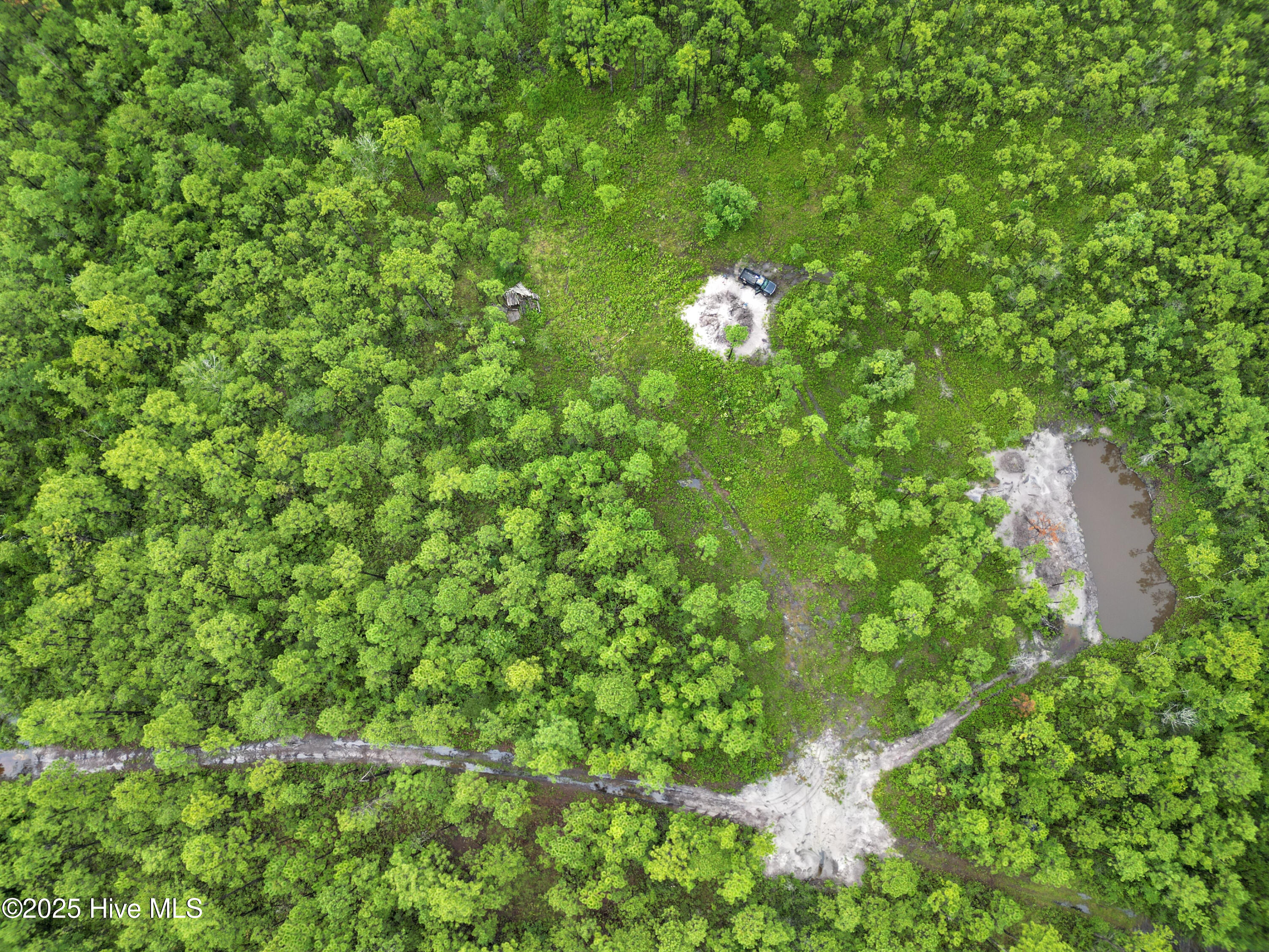 100525966 | Photo 20