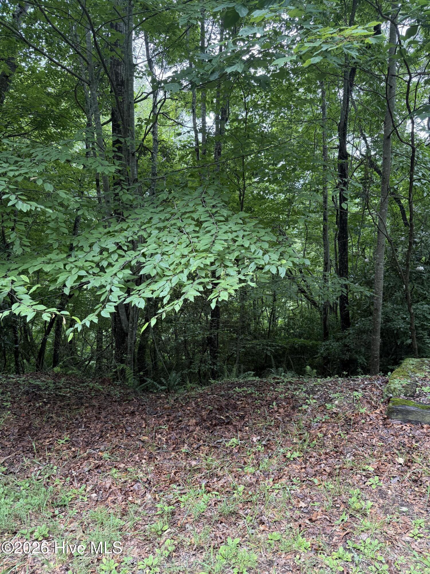 5th image of Lot 14 Mountain Vista Ln, Topton, NC 28781 | MLS# 100593363