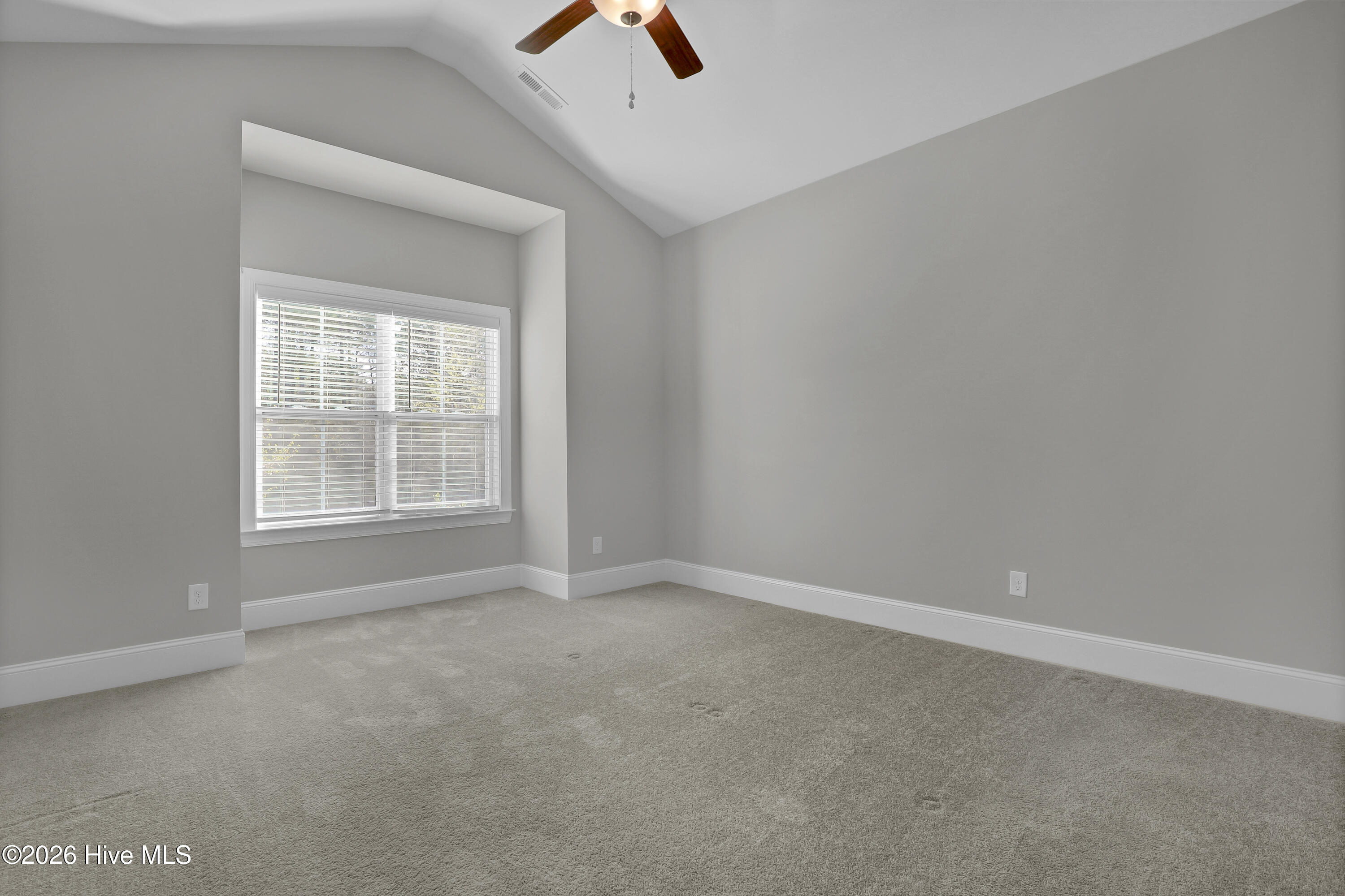 100564151 | Photo 18