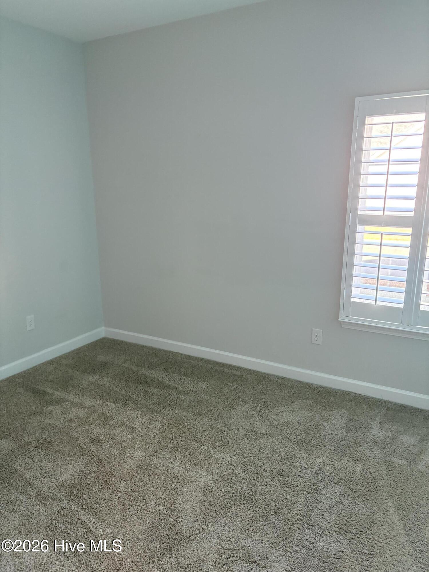 100563283 | Photo 41