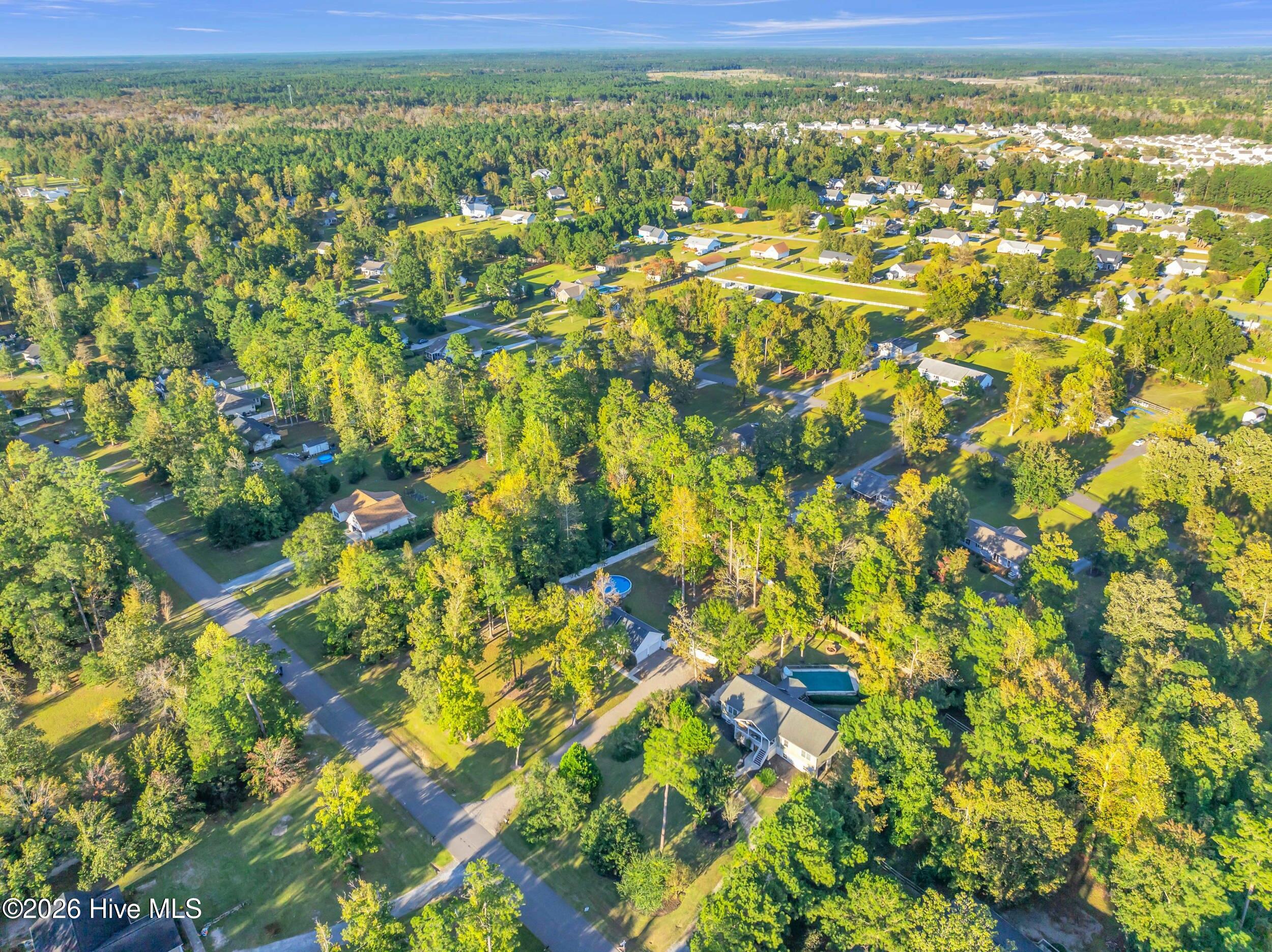 100562256 | Photo 46