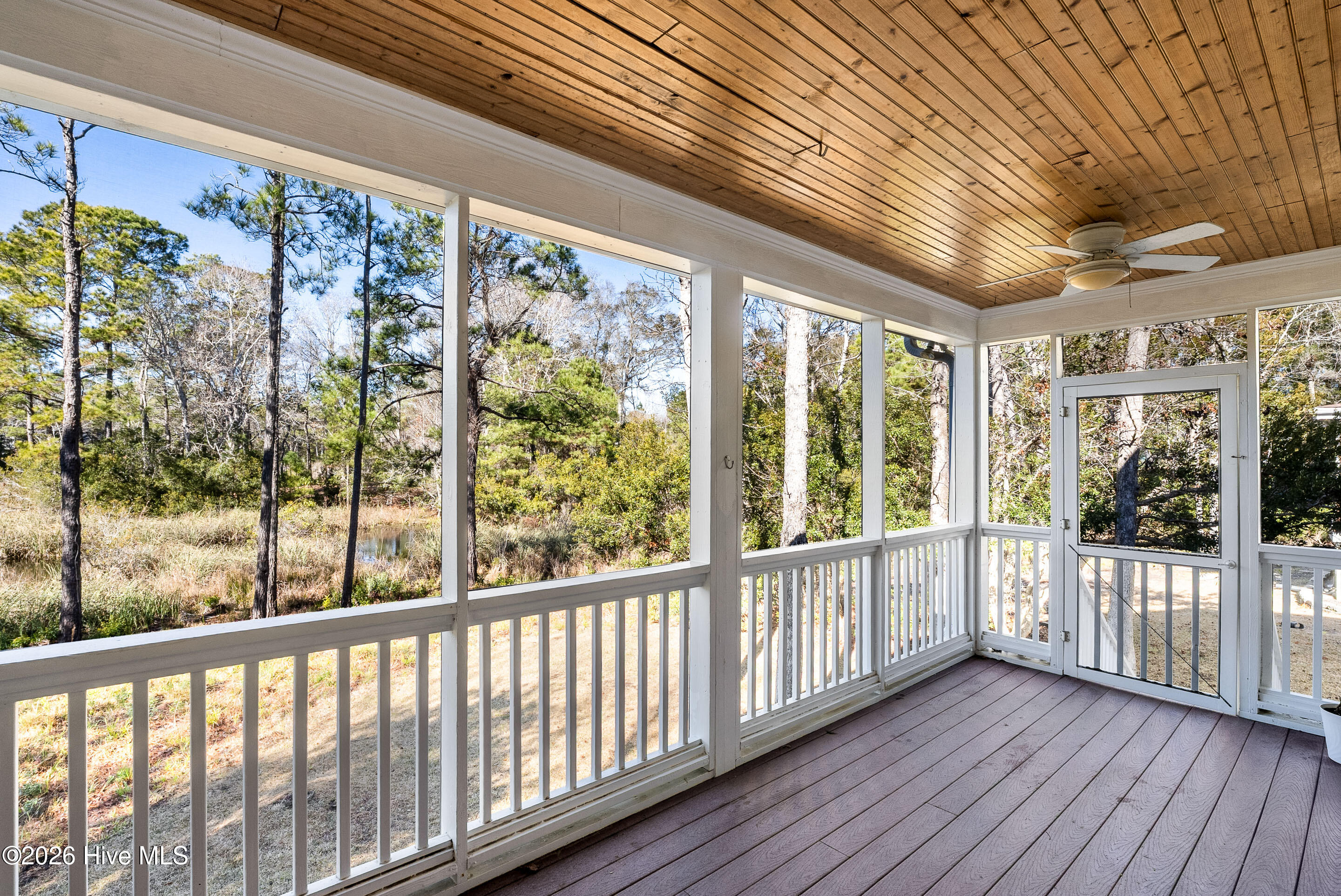 100563119 | Photo 30