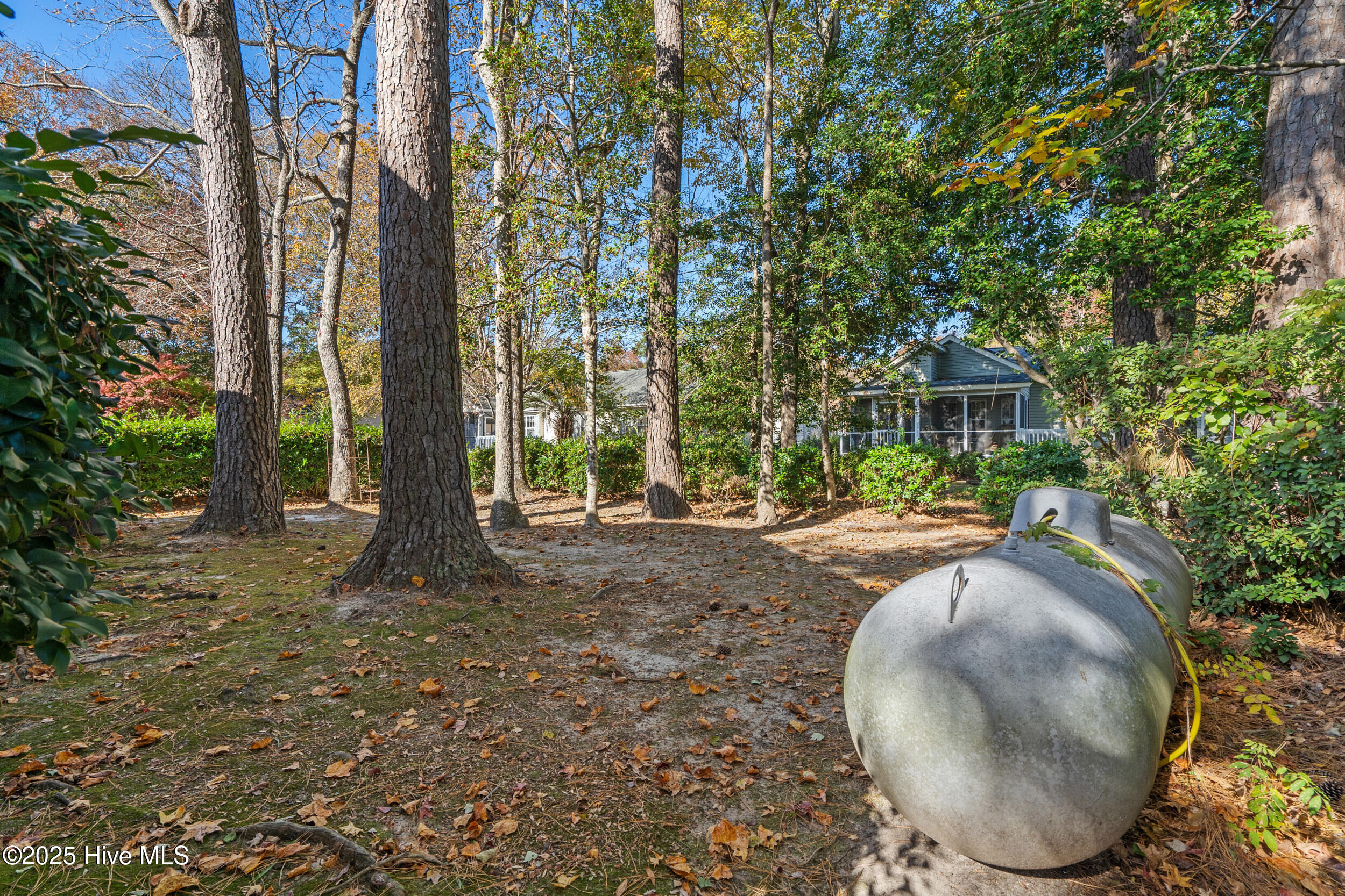 100542117 | Photo 35