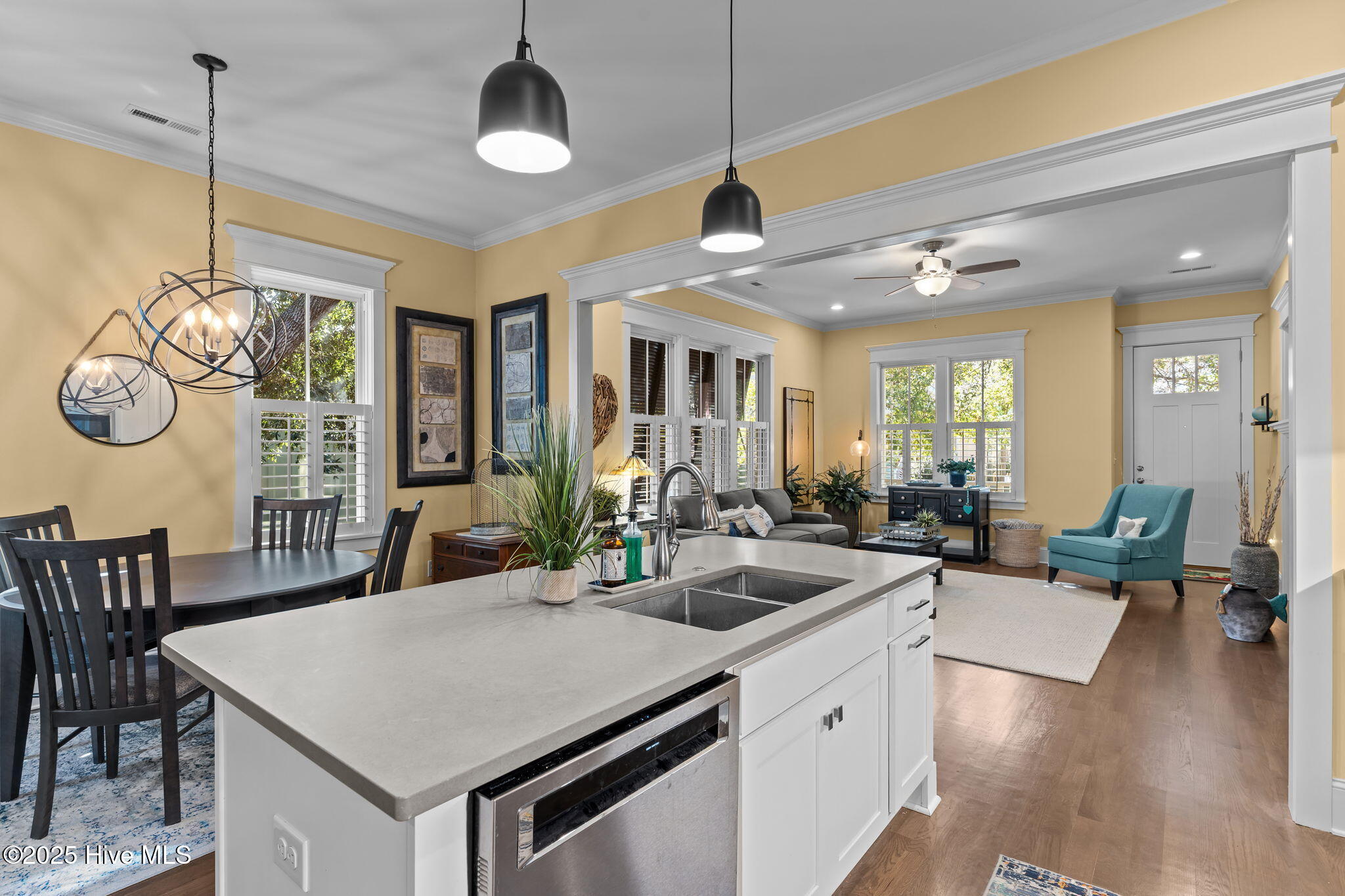 100511633 | Photo 11