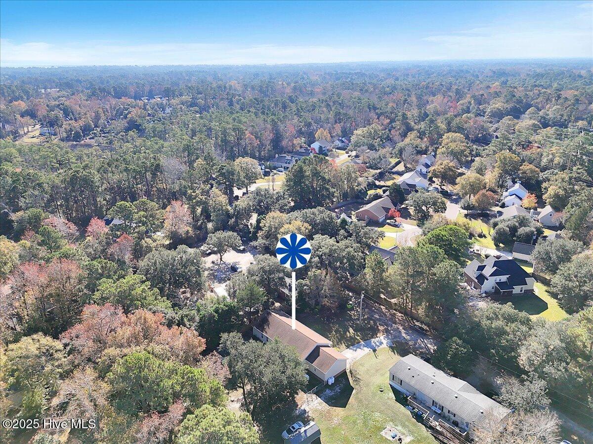 100543135 | Photo 44