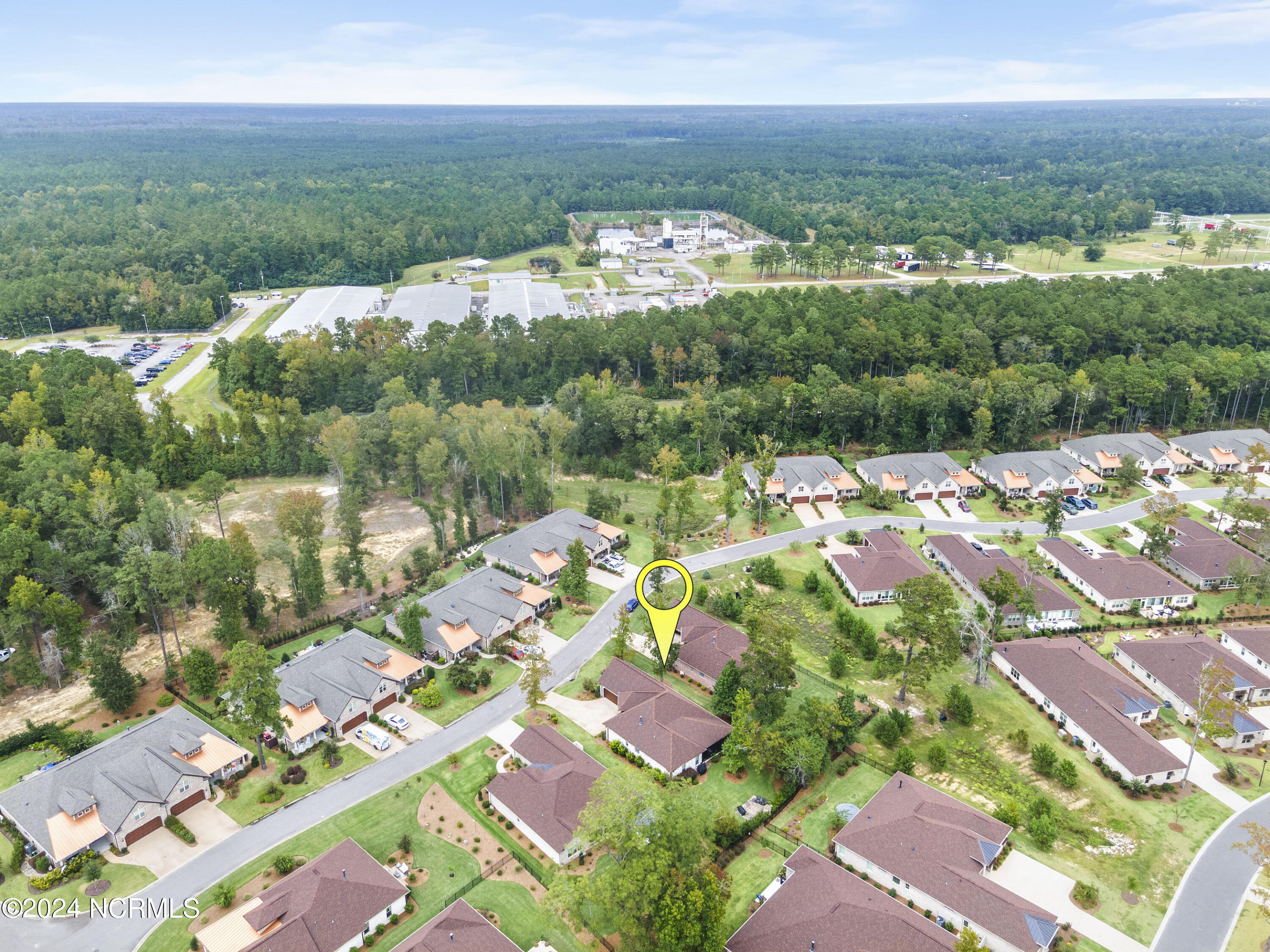 100554009 | Photo 46