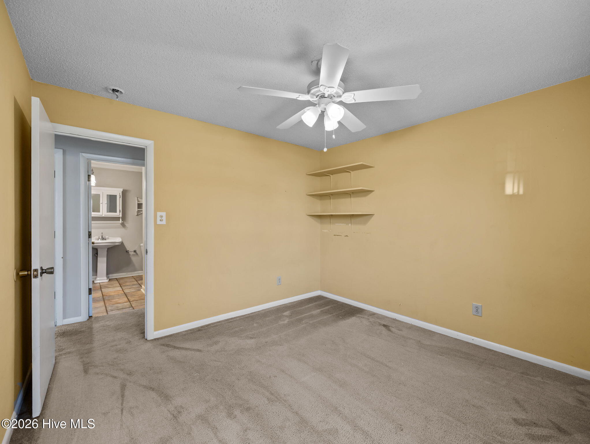 100564888 | Photo 28