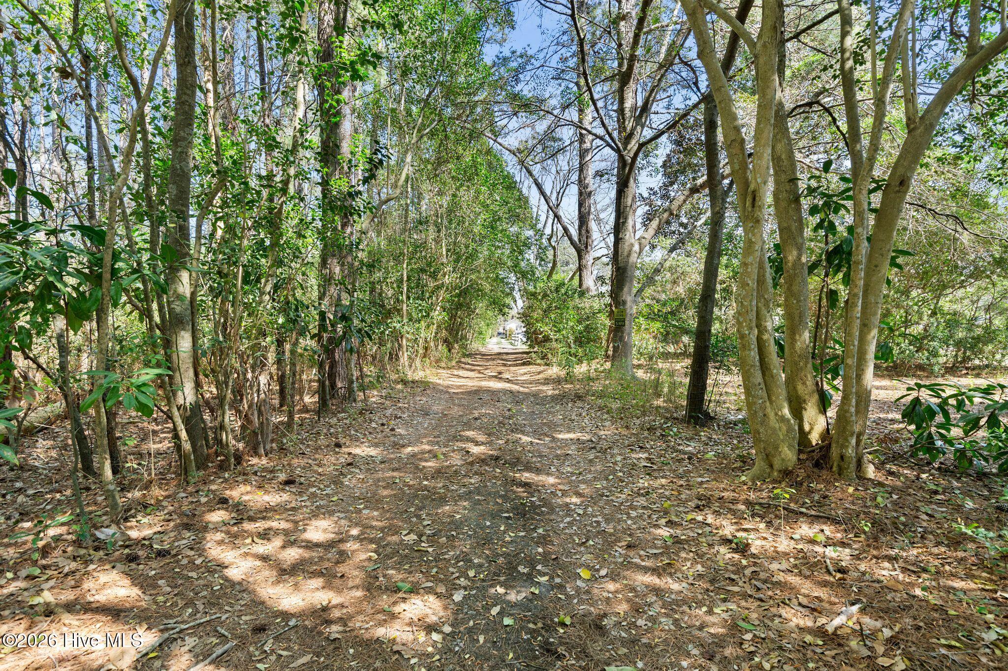 100563696 | Photo 33