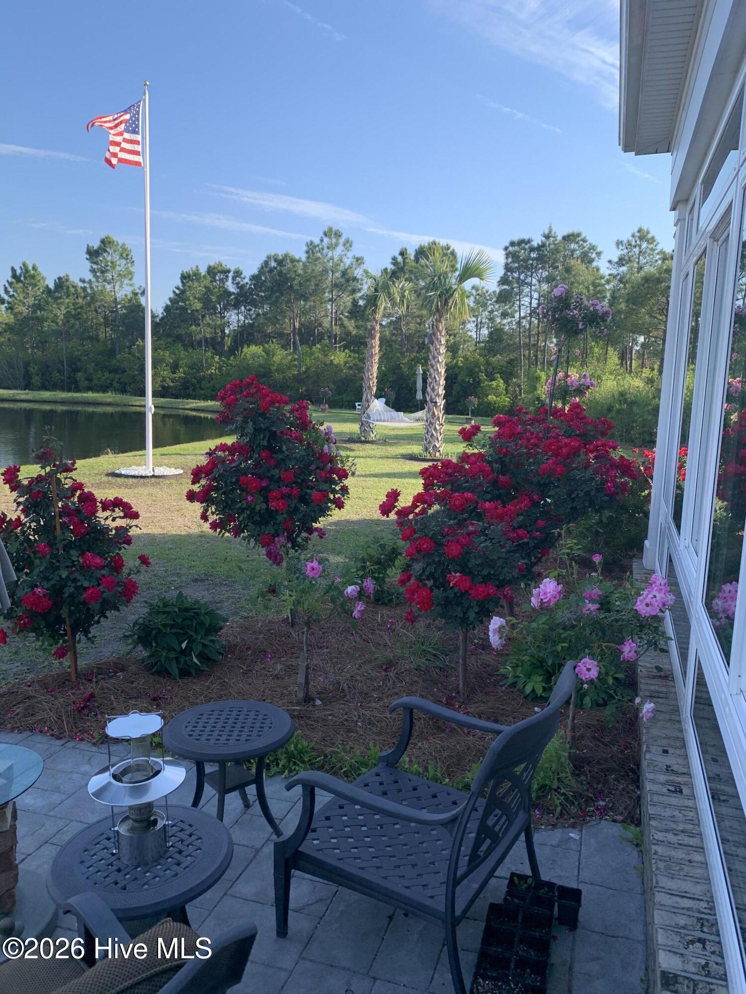 100560288 | Photo 84