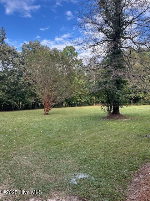 100531539 | Photo 17