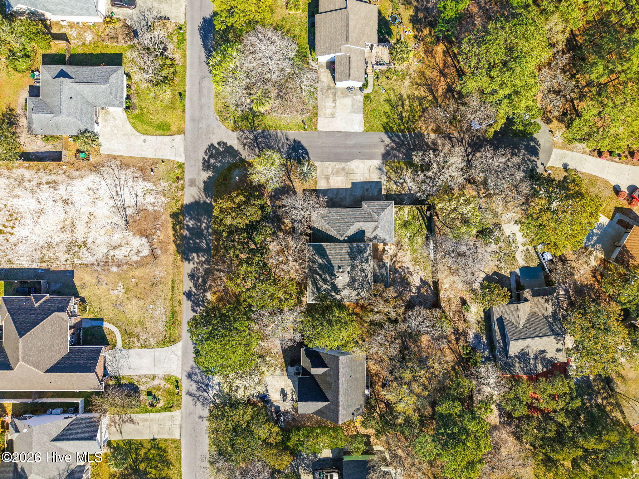 100562881 | Photo 45