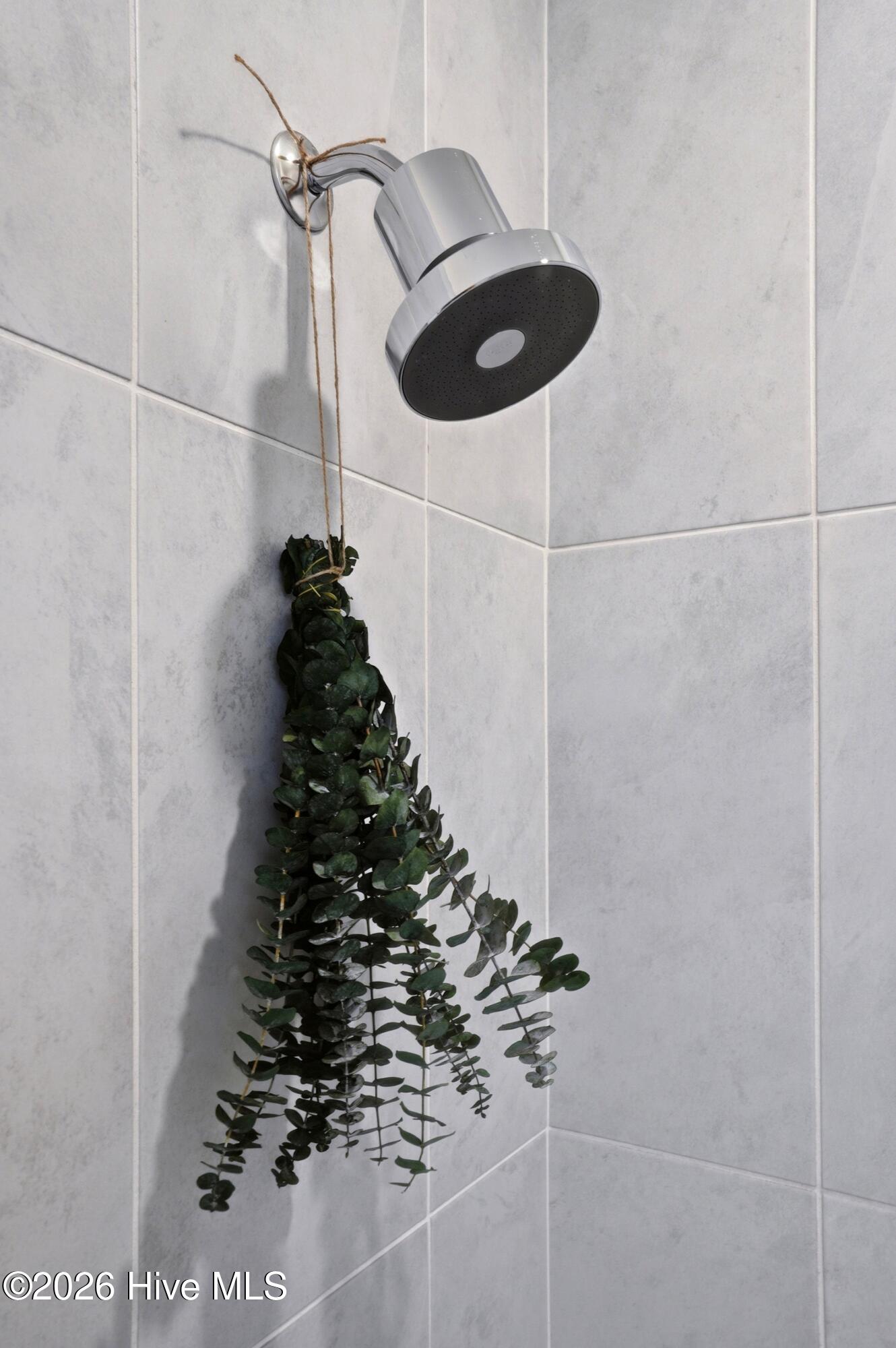 100569050 | Photo 42