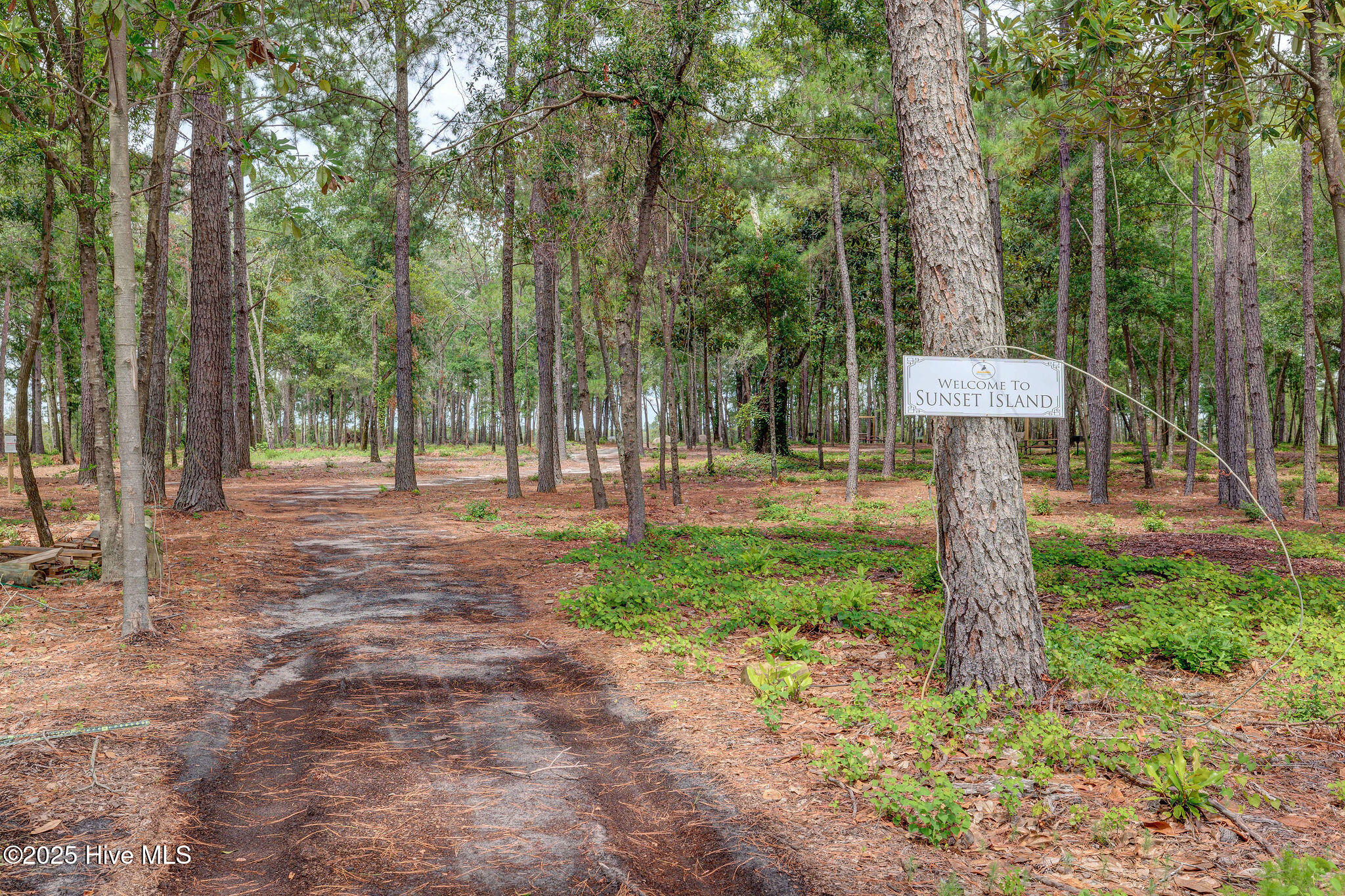 100537676 | Photo 38